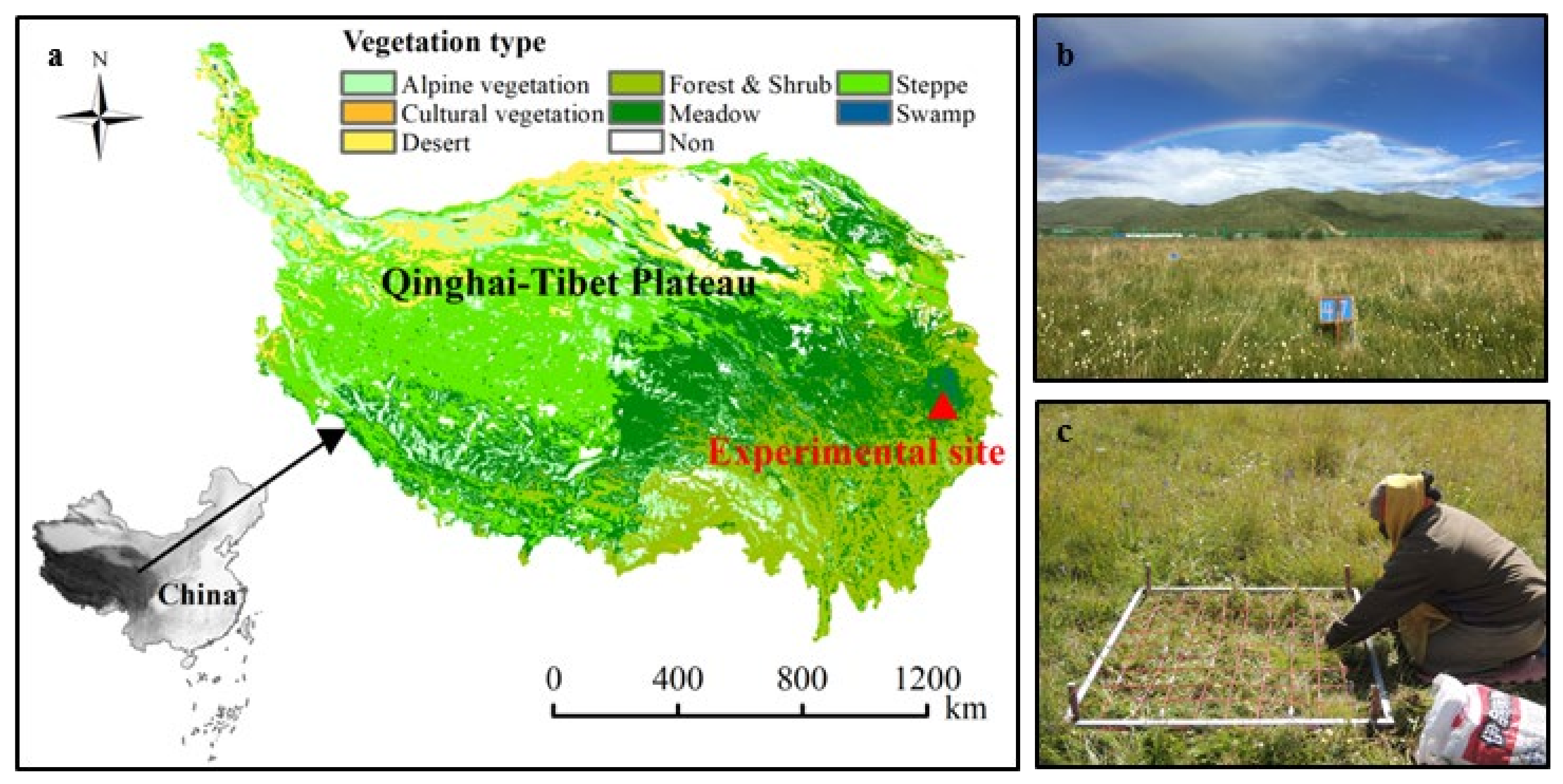 Ijerph 18 10998 g001 550