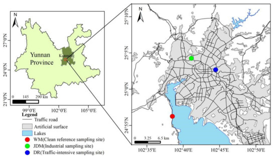 Concentrations, Source Characteristics, and Health Risk
