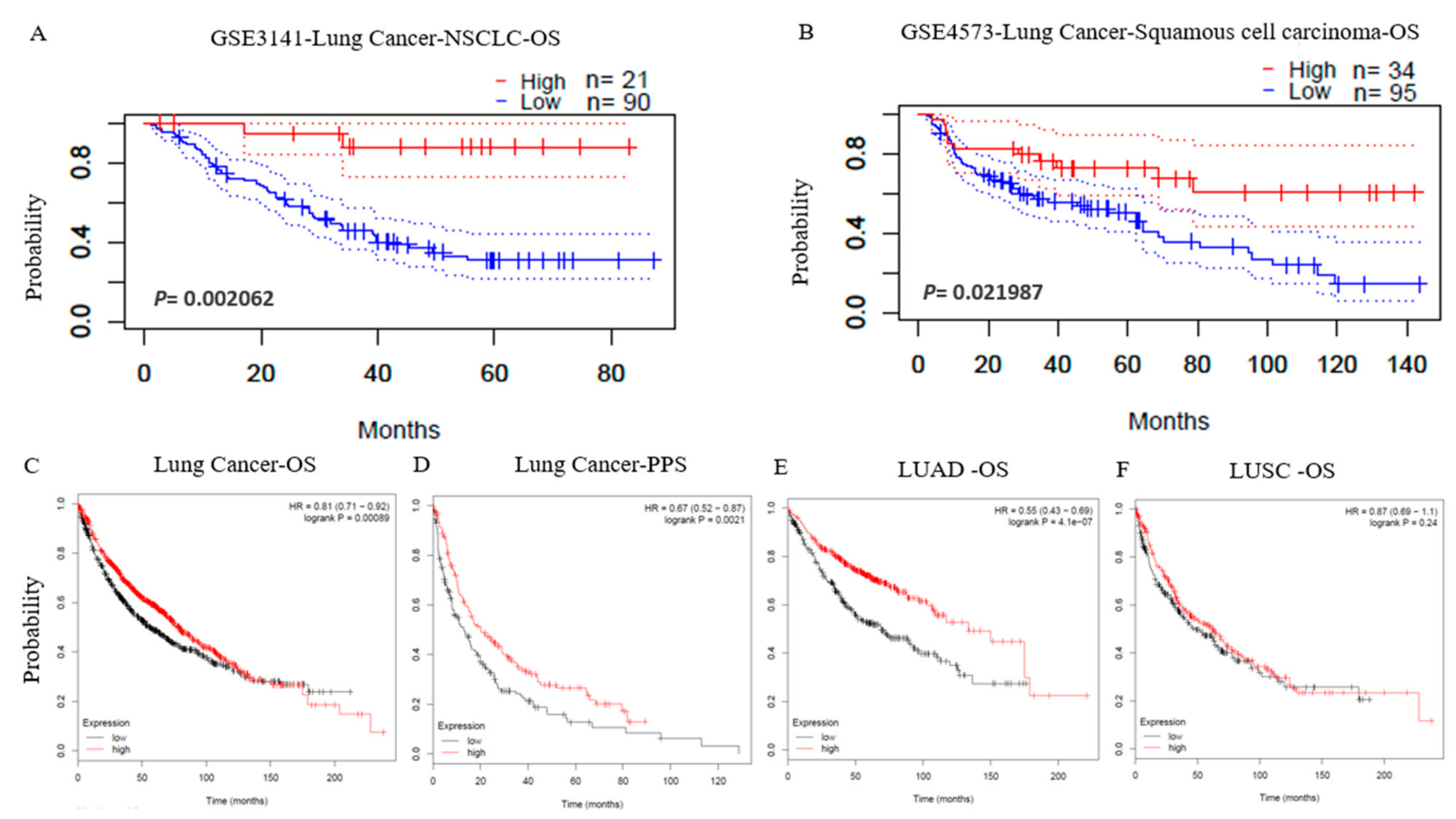 Ijerph 18 11038 g002 550