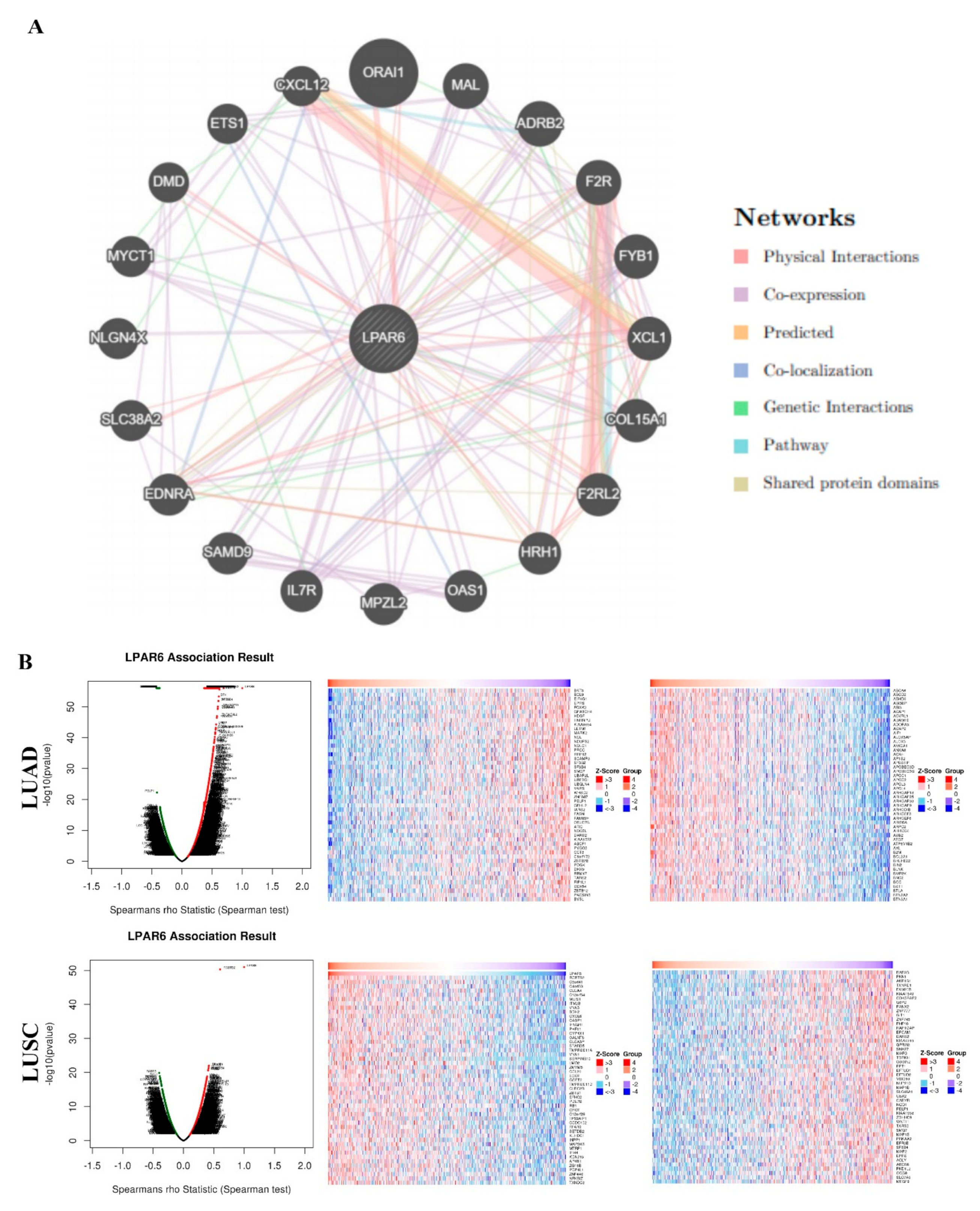 Ijerph 18 11038 g004a 550