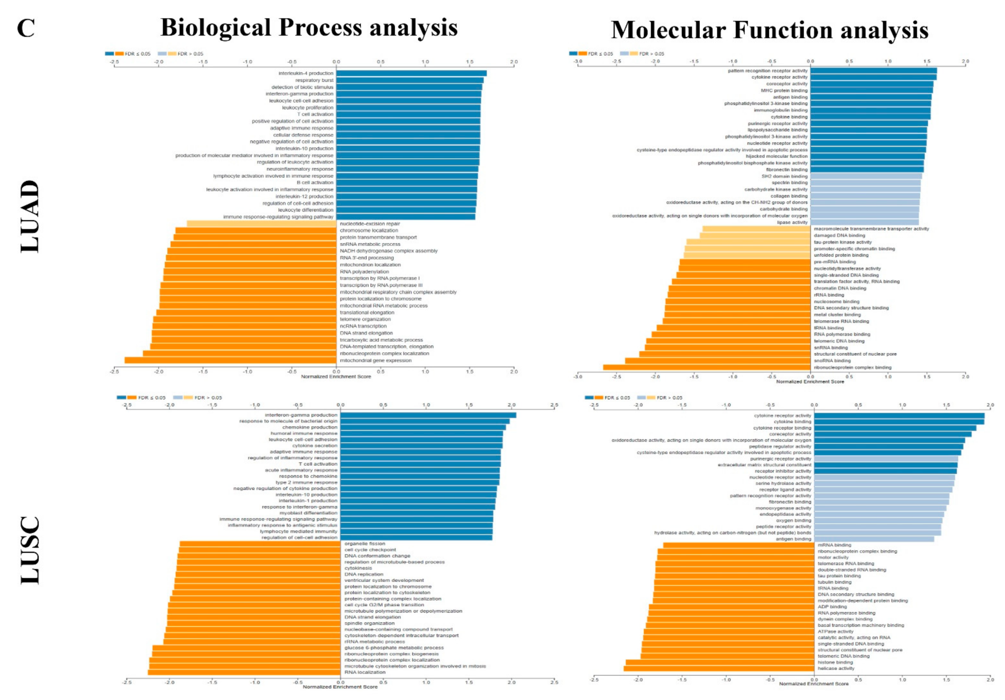 Ijerph 18 11038 g004b 550