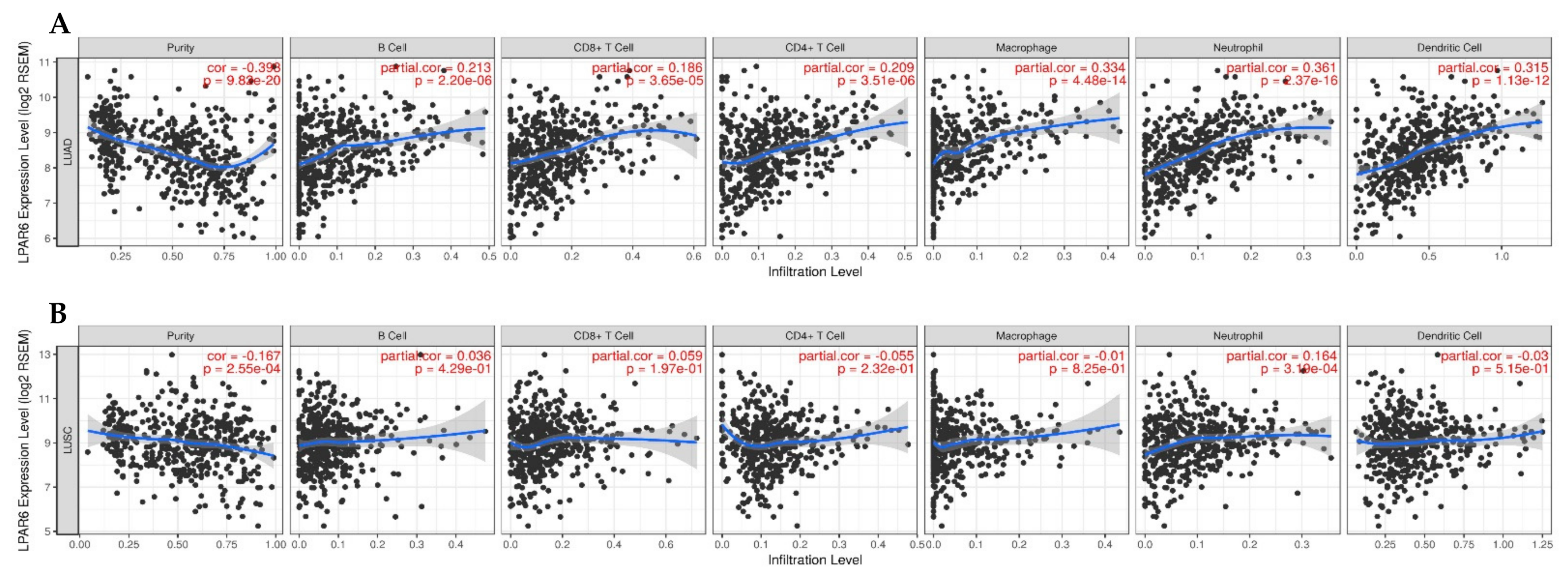Ijerph 18 11038 g005 550