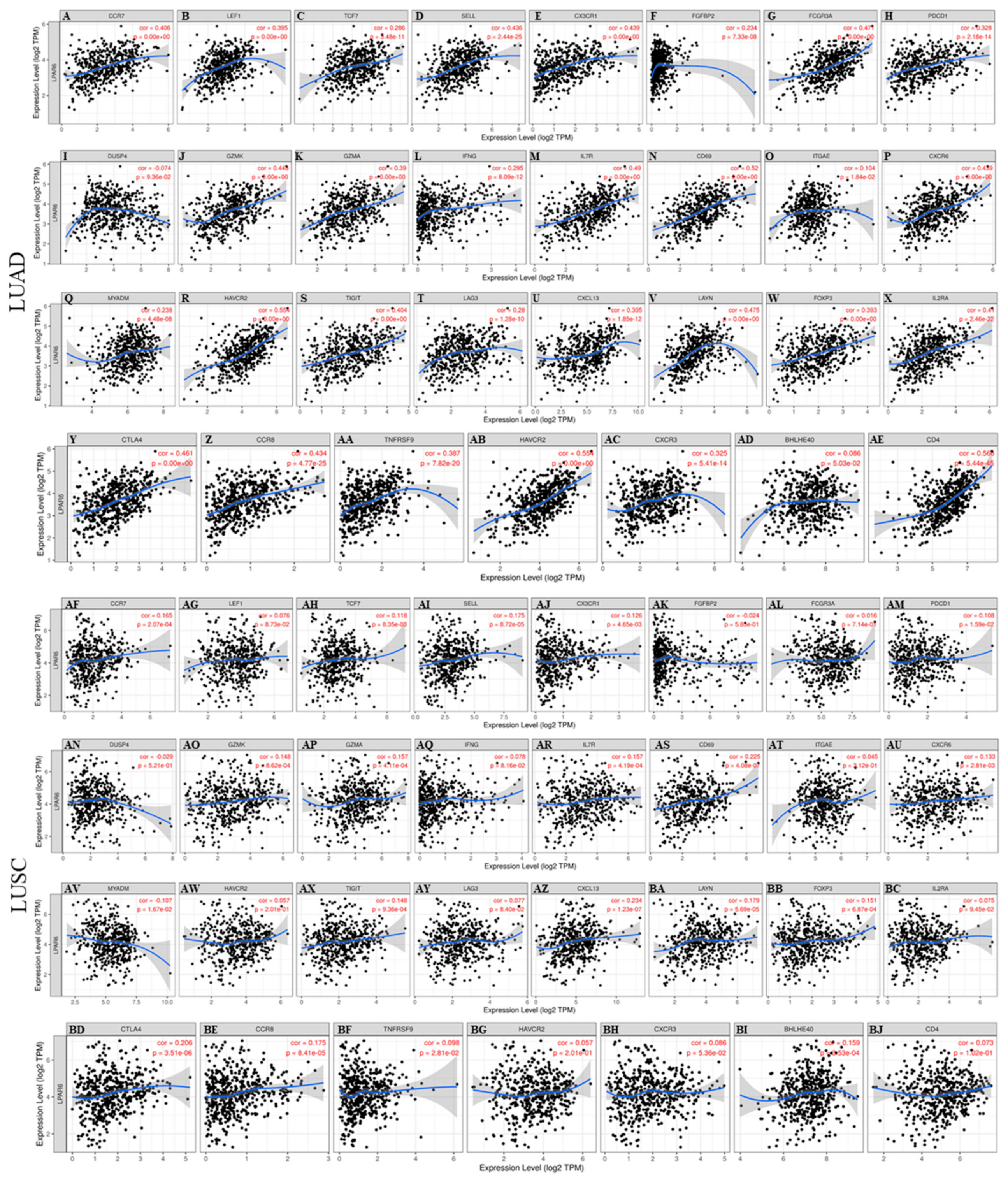 Ijerph 18 11038 g007 550