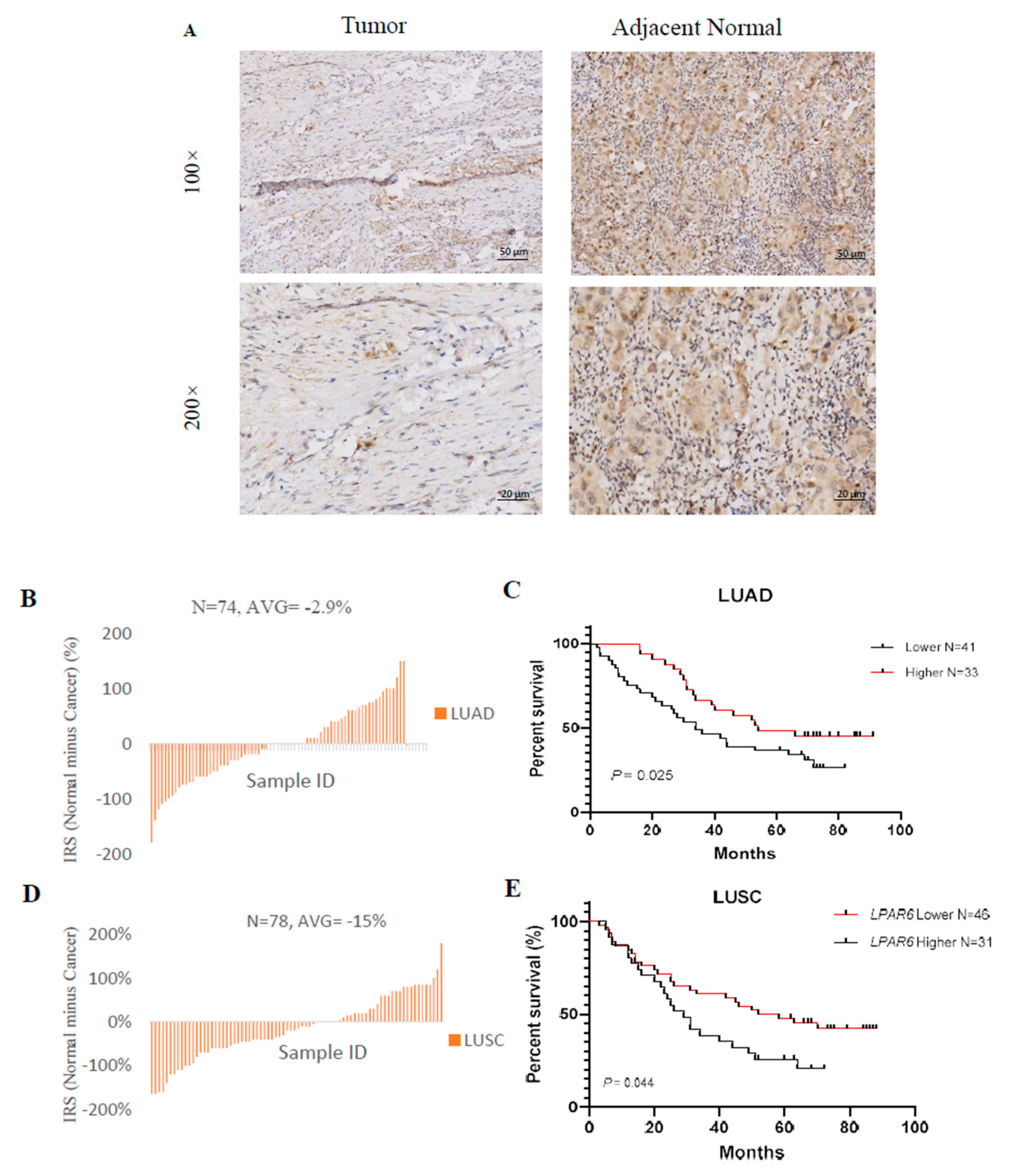 Ijerph 18 11038 g009a 550