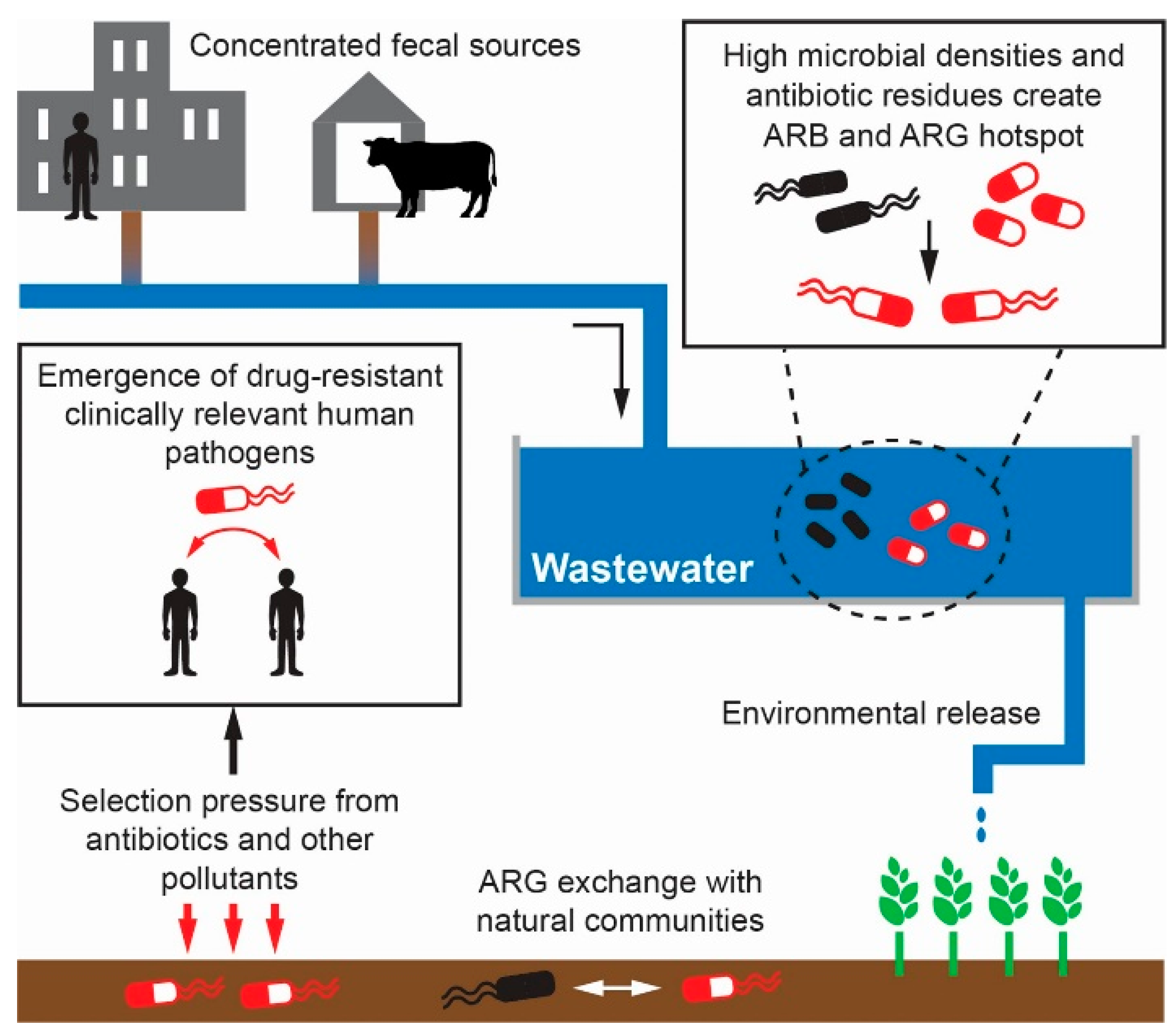 IJERPH Free FullText Does Irrigation with Treated and Untreated