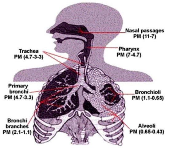 Indoor Particulate Matter in Urban Households: Sources, Pathways, Characteristics, Health Effects, and Exposure Mitigation Indoor Particulate Matter in Urban Households: Sources, Pathways, Characteristics, Health Effects, and Exposure Mitigation