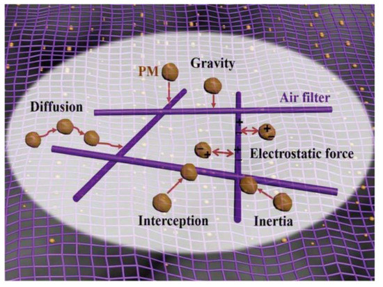 Indoor Particulate Matter in Urban Households: Sources, Pathways, Characteristics, Health Effects, and Exposure Mitigation Indoor Particulate Matter in Urban Households: Sources, Pathways, Characteristics, Health Effects, and Exposure Mitigation