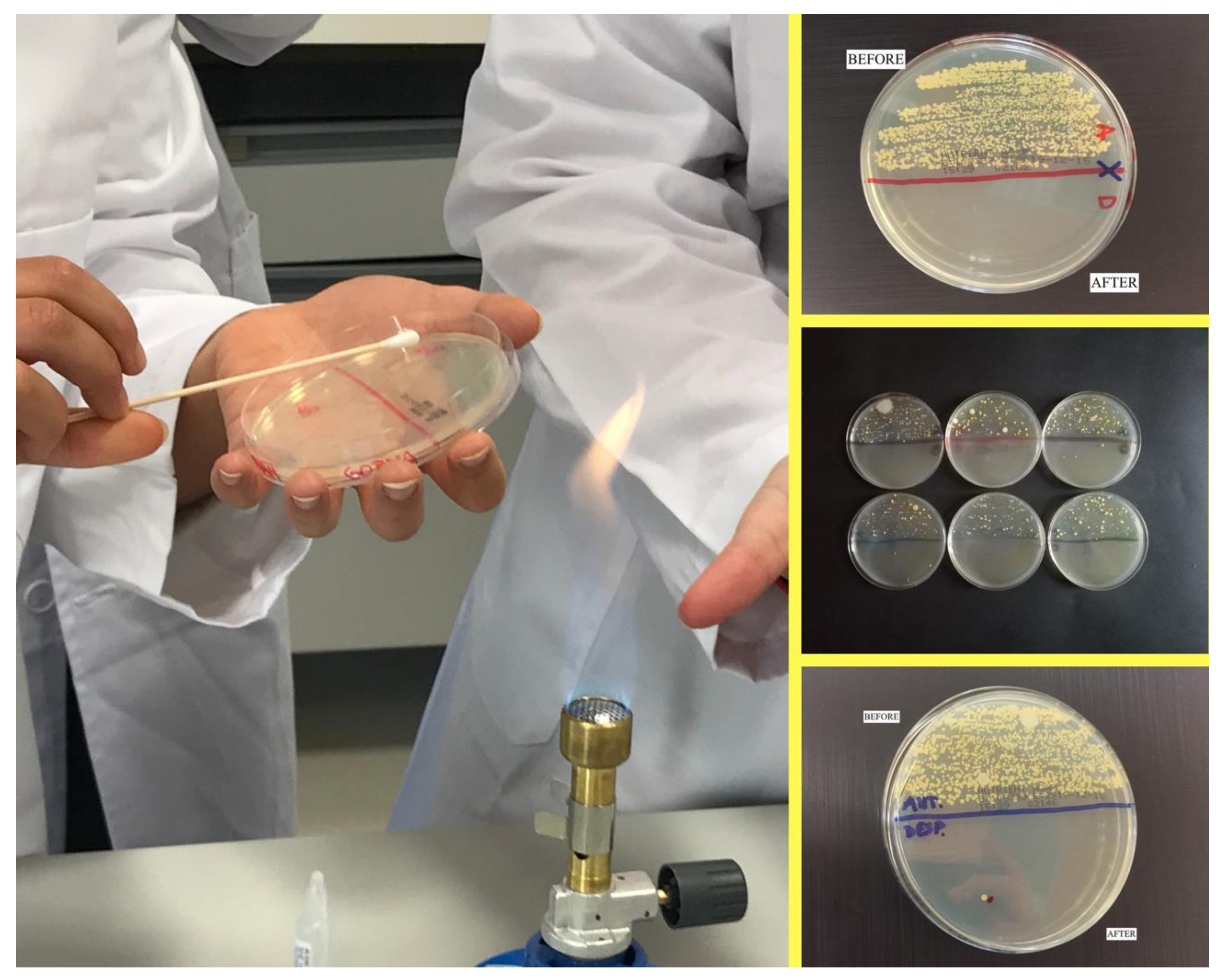 Ijerph 18 11123 g002 Ijerph 18 11123 g002