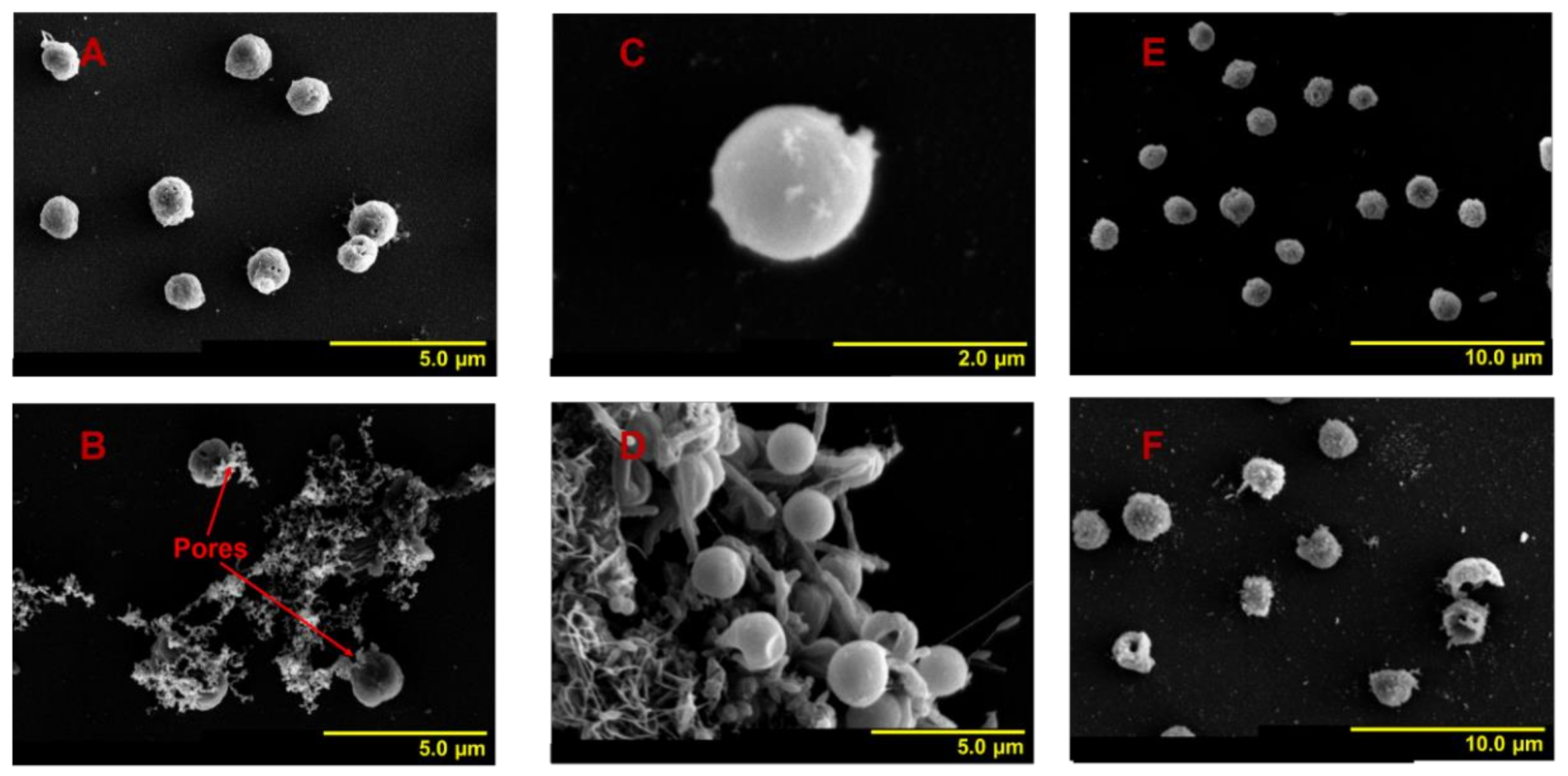 Ijerph 18 11191 g004 Ijerph 18 11191 g004