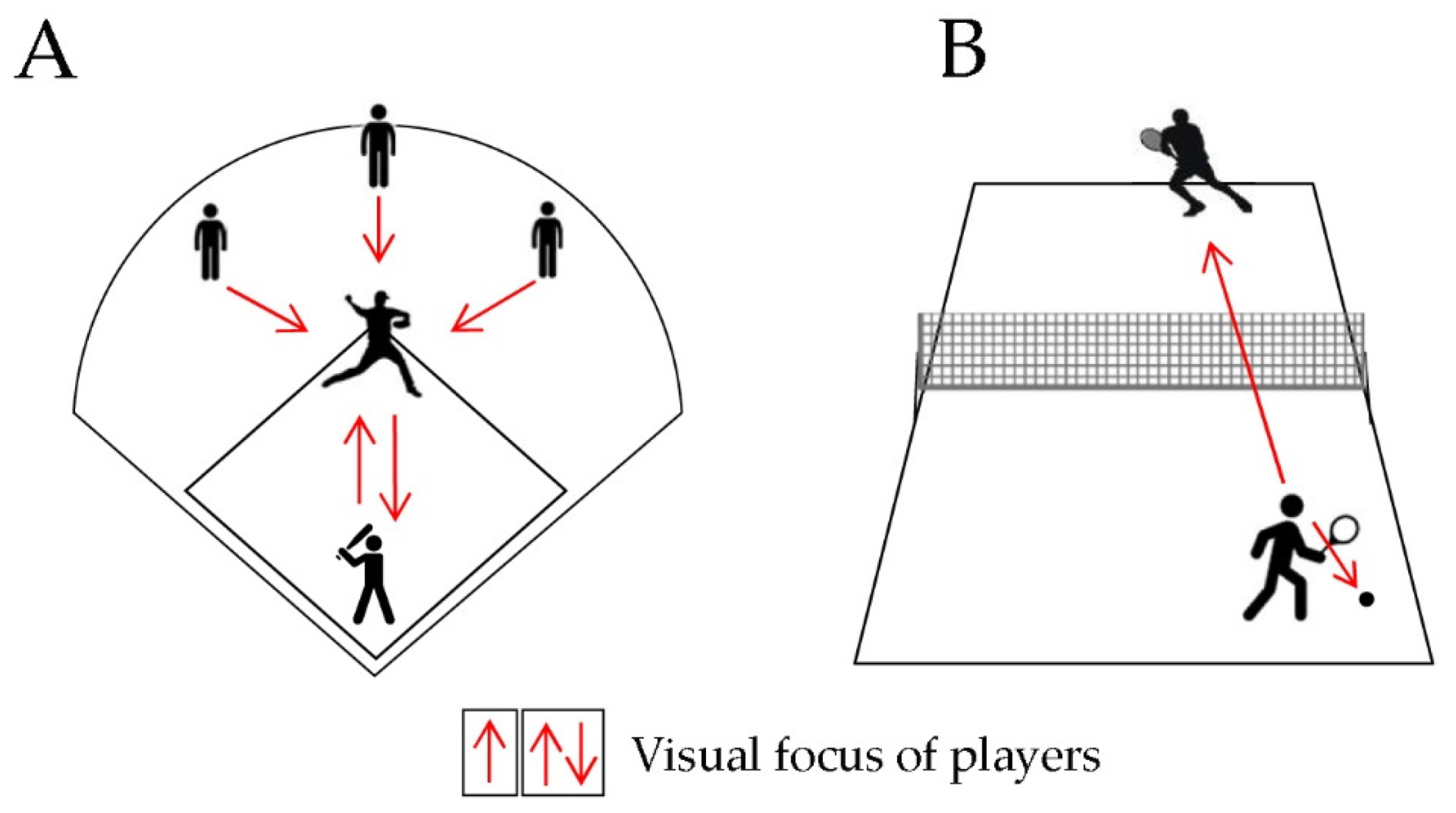 IJERPH Free Full-Text Stereopsis in Sports Visual Skills and Visuomotor Integration Models in Professional and Non-Professional Athletes