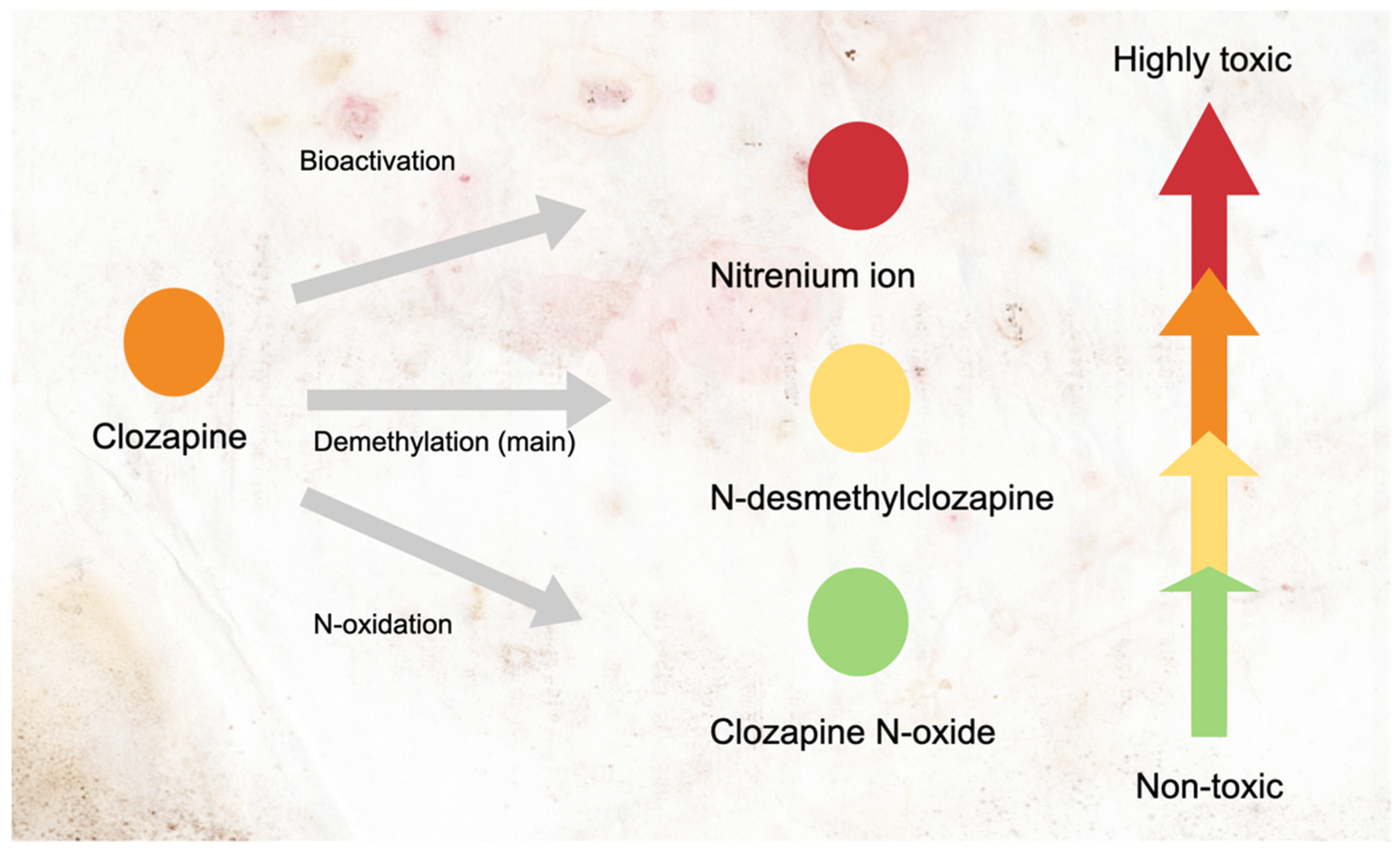 Ijerph 18 11289 g001 550