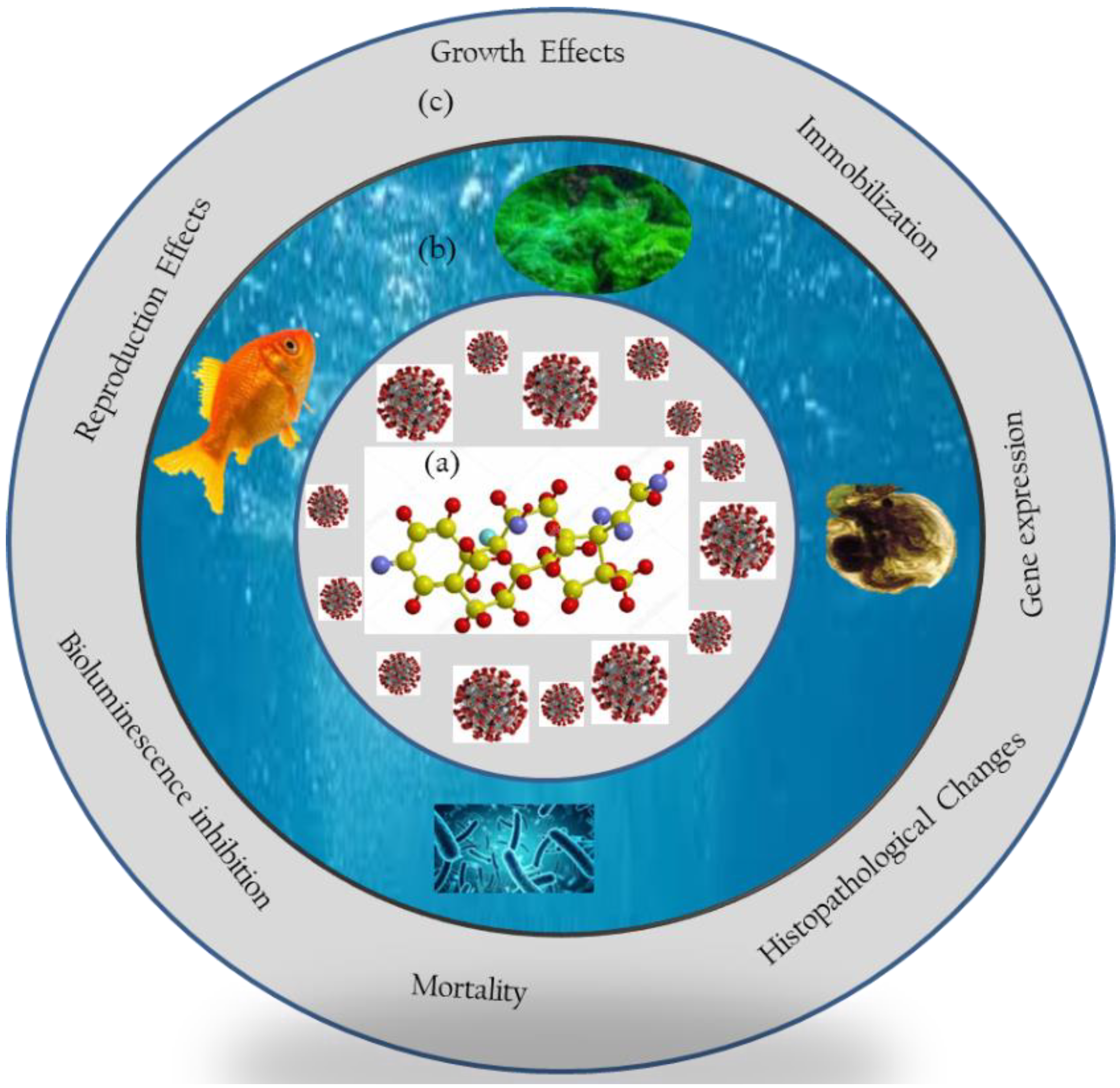 Ijerph 18 11291 g002