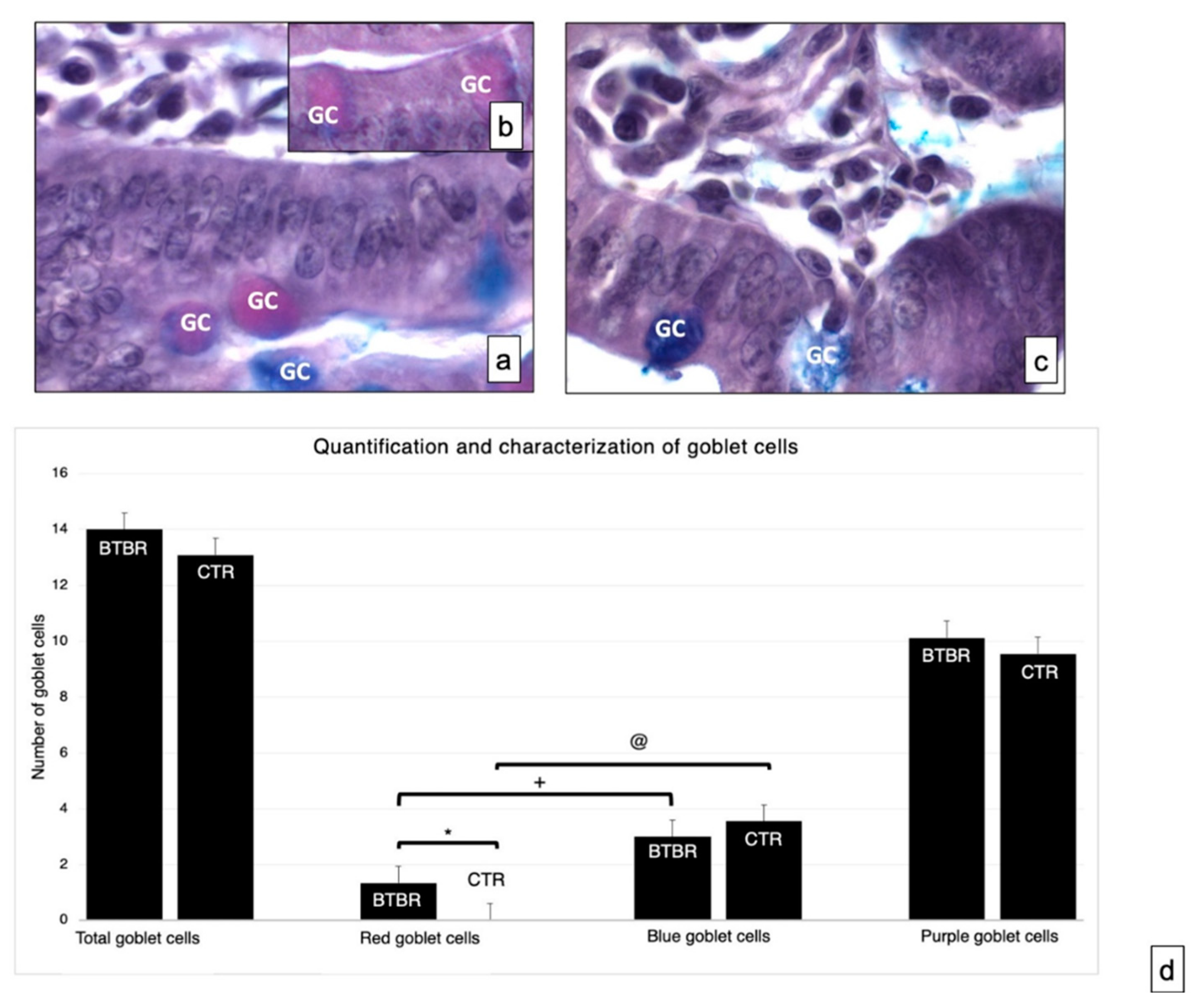 Ijerph 18 11328 g002