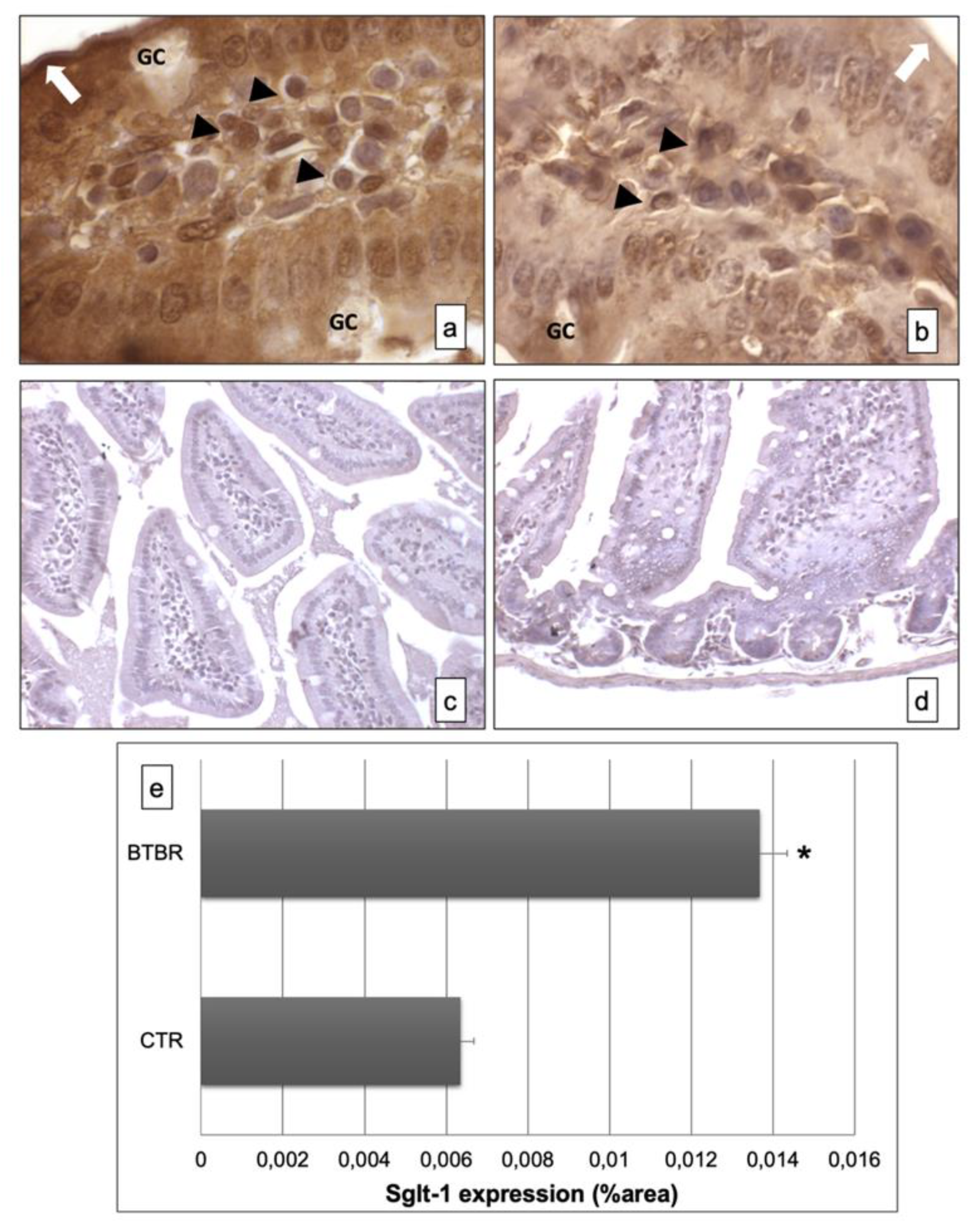 Ijerph 18 11328 g003