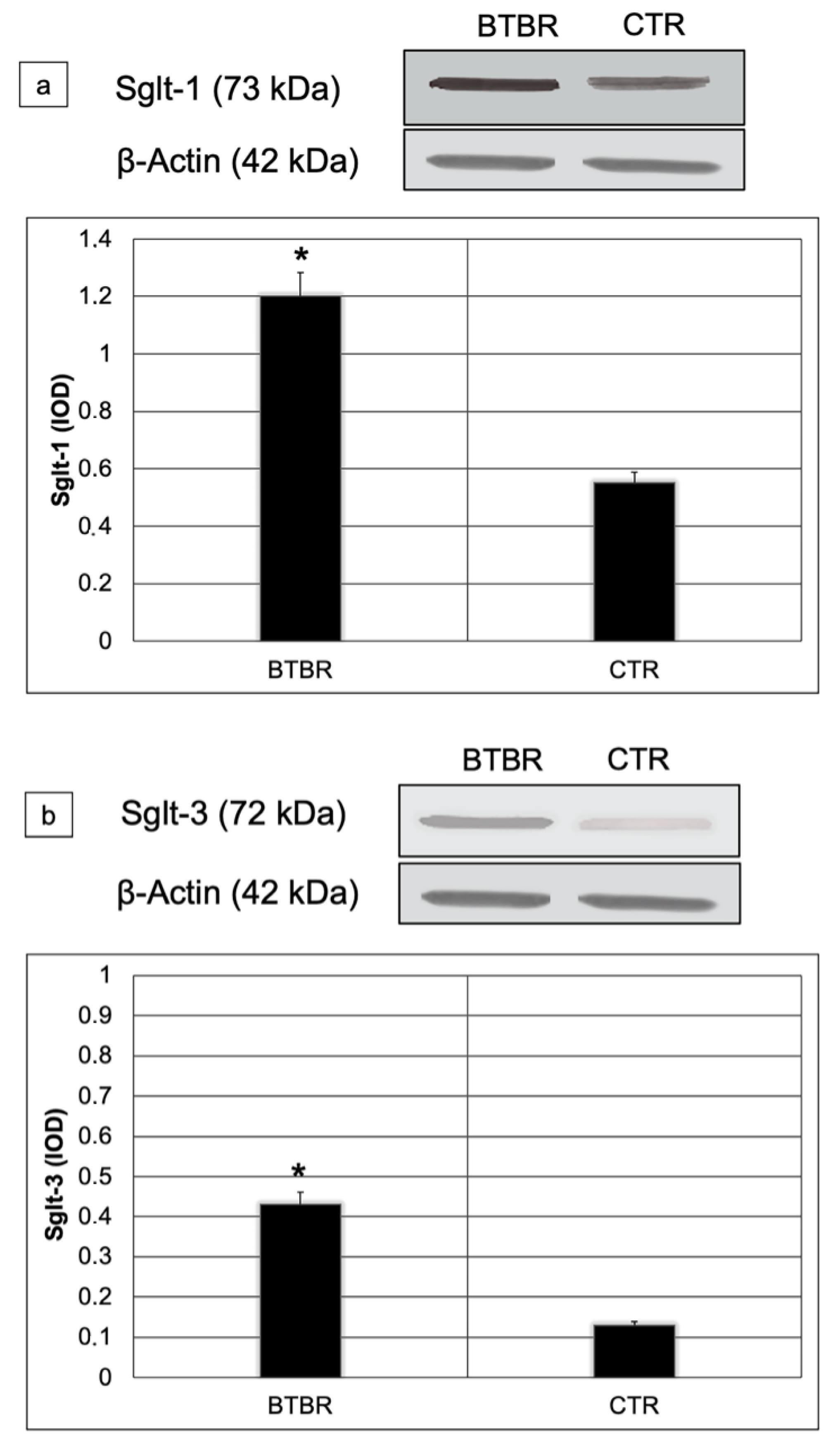 Ijerph 18 11328 g006