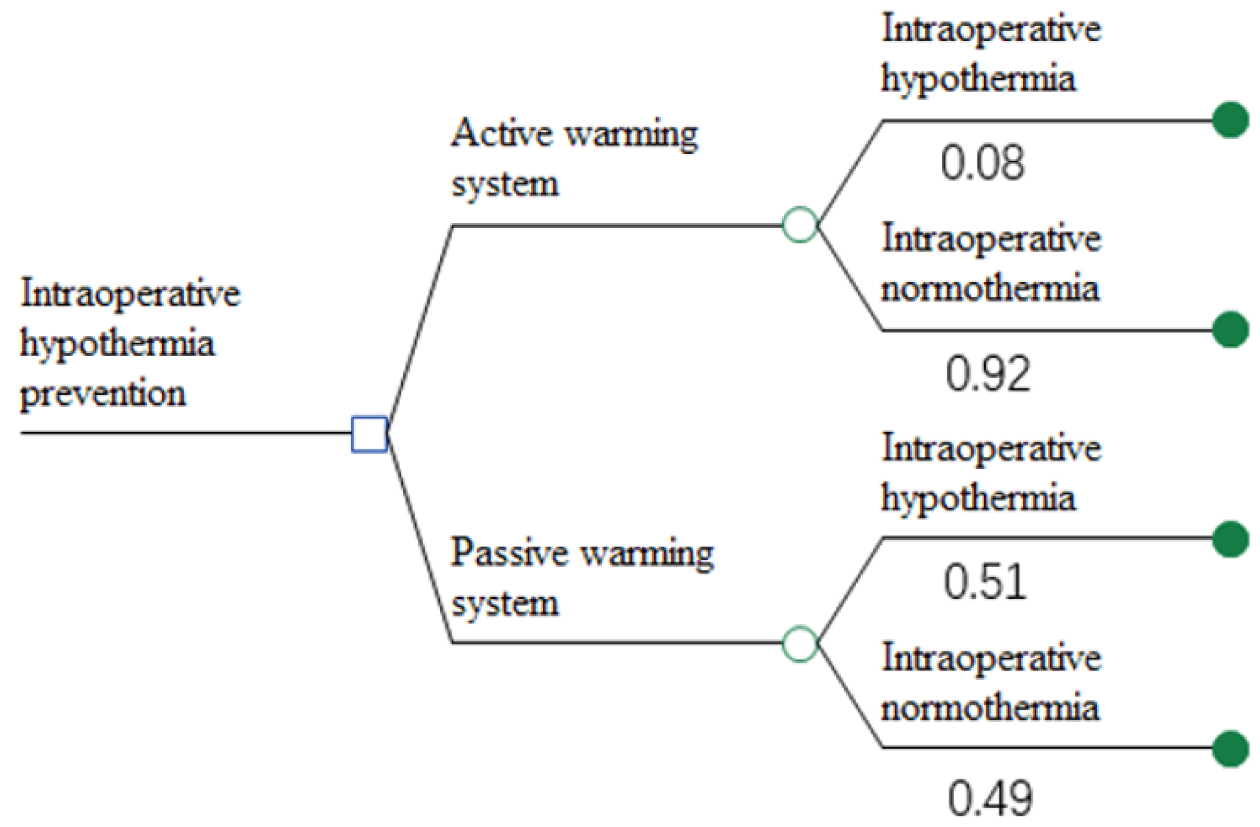 IJERPH Free FullText Value of Active Warming Devices for