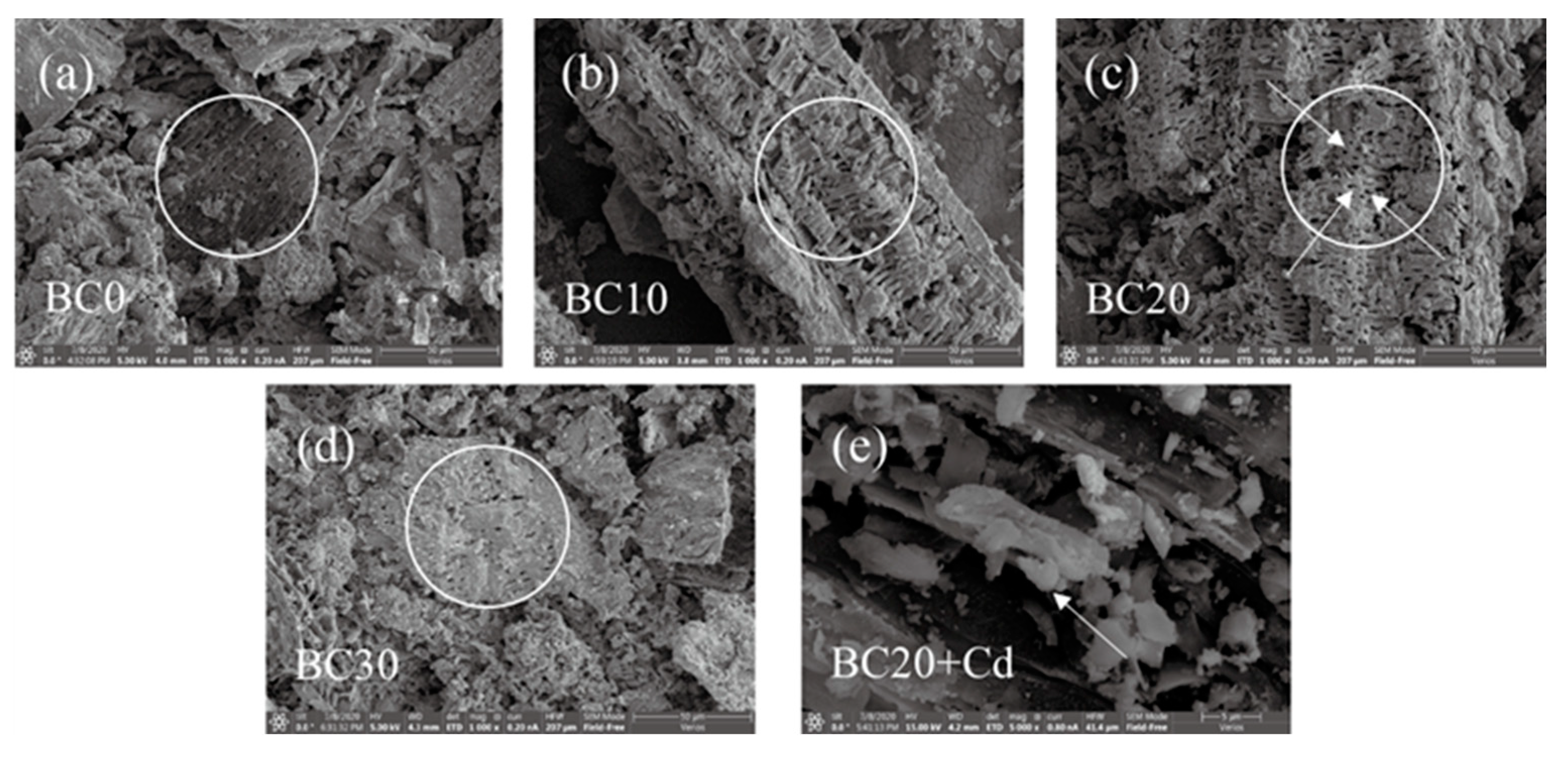 Ijerph 18 11413 g002 550