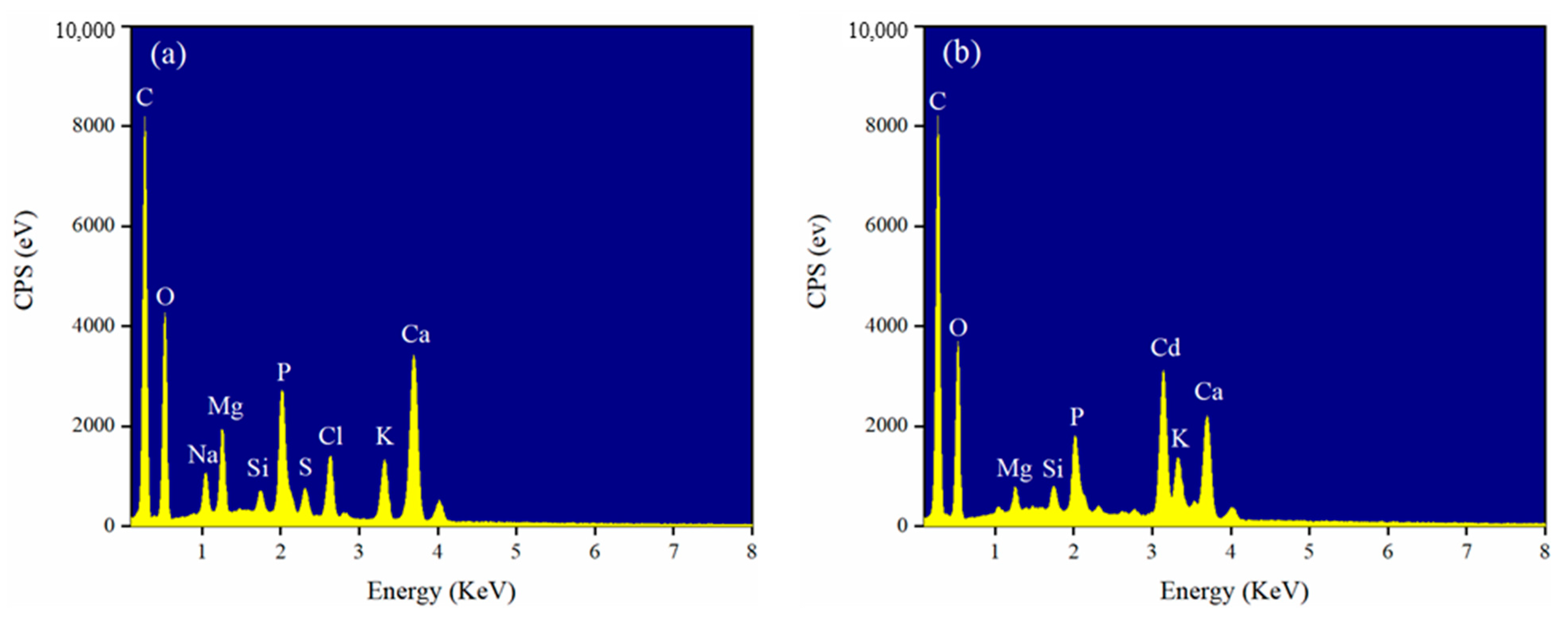 Ijerph 18 11413 g008 550