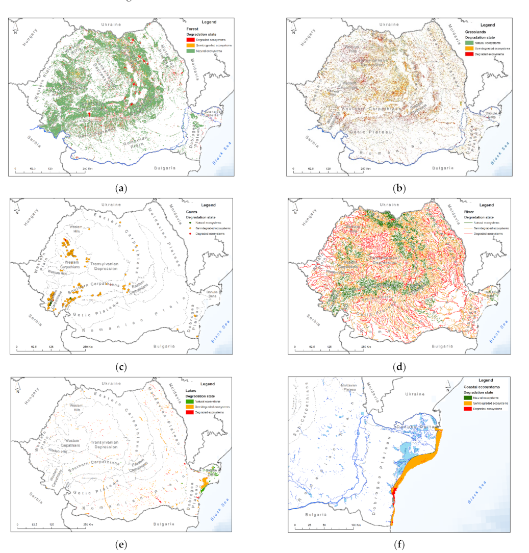 Ijerph 18 11416 g003 550