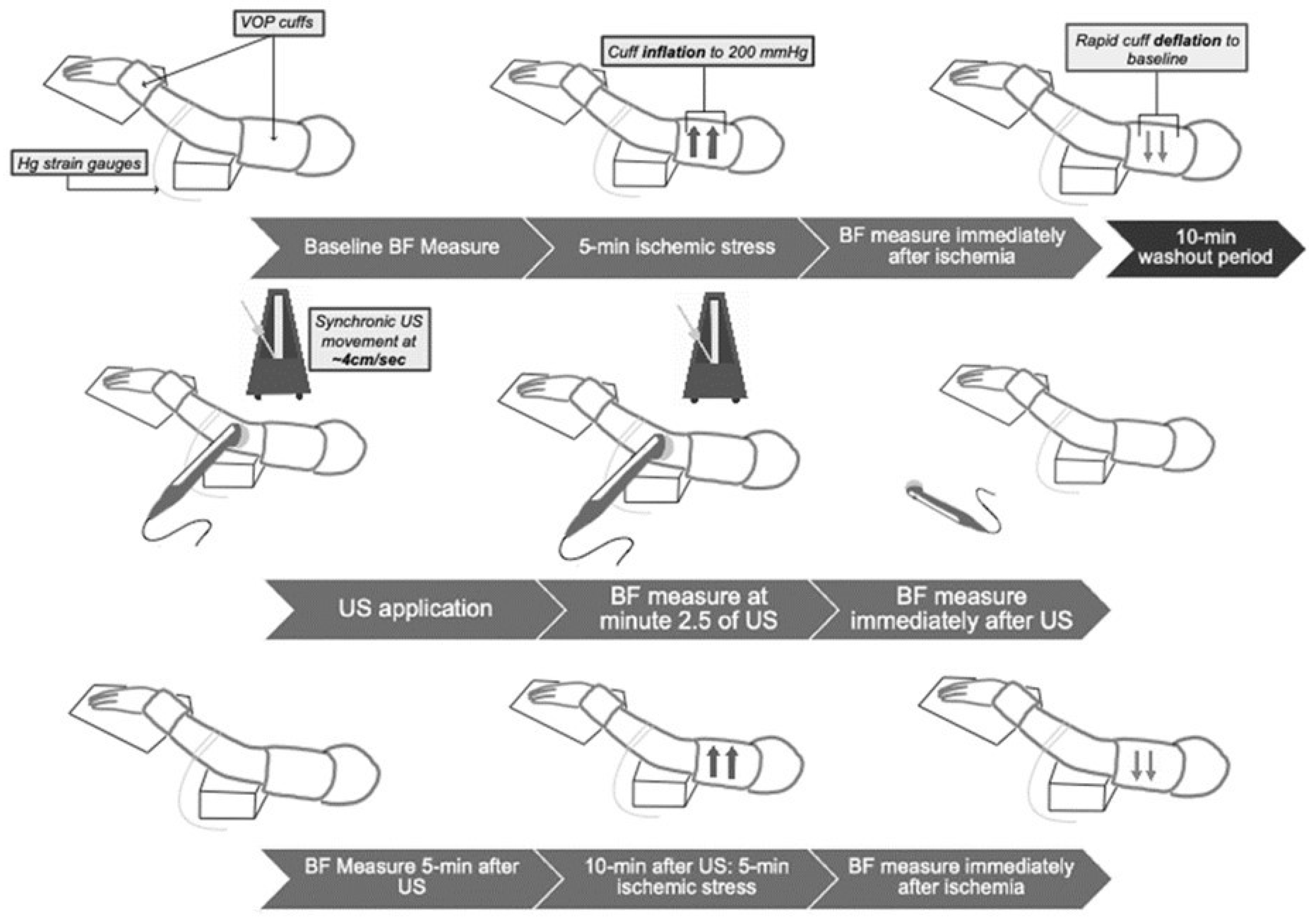 Ijerph 18 11444 g001 550