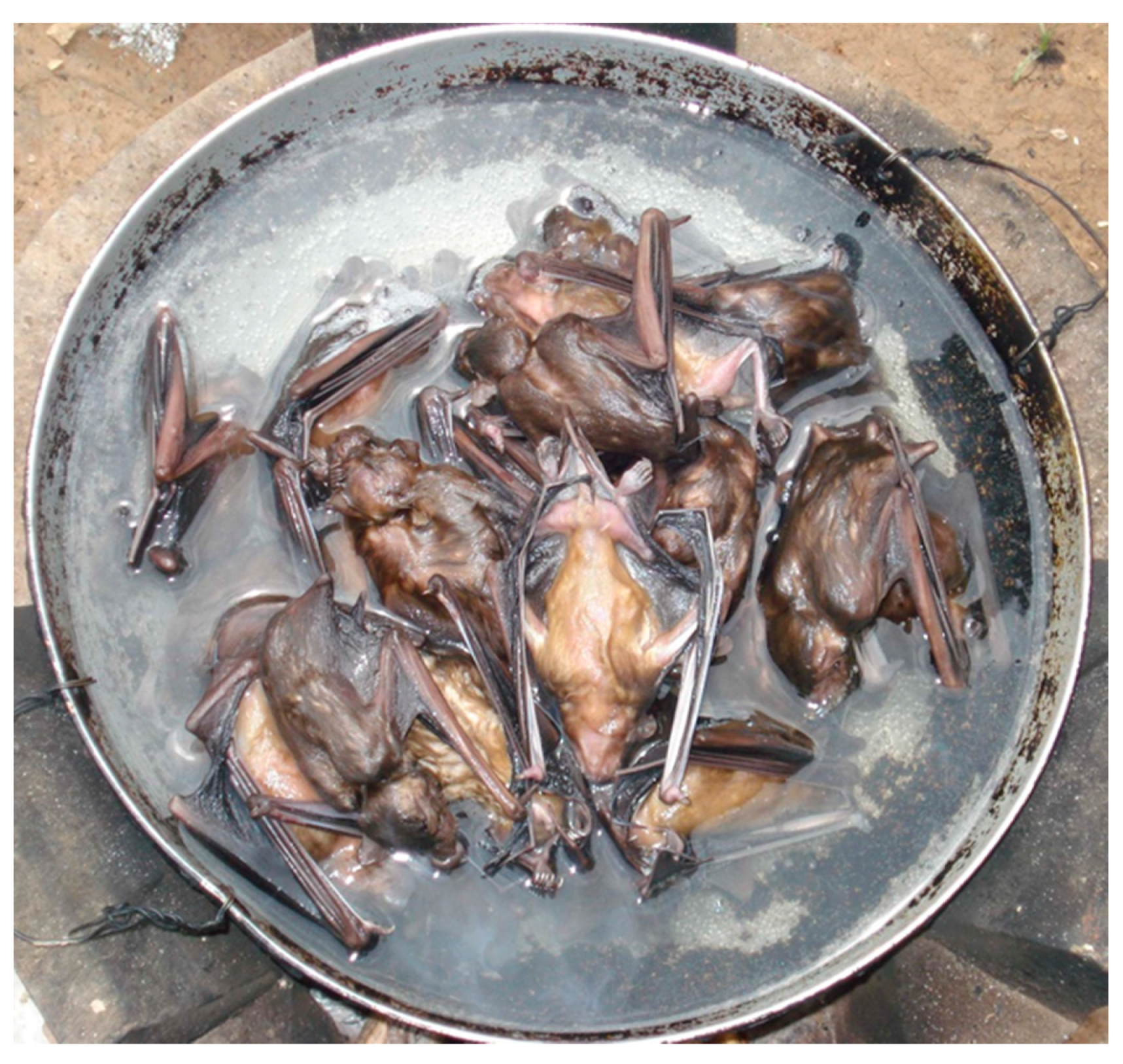 Ijerph 18 11446 g002 Ijerph 18 11446 g002