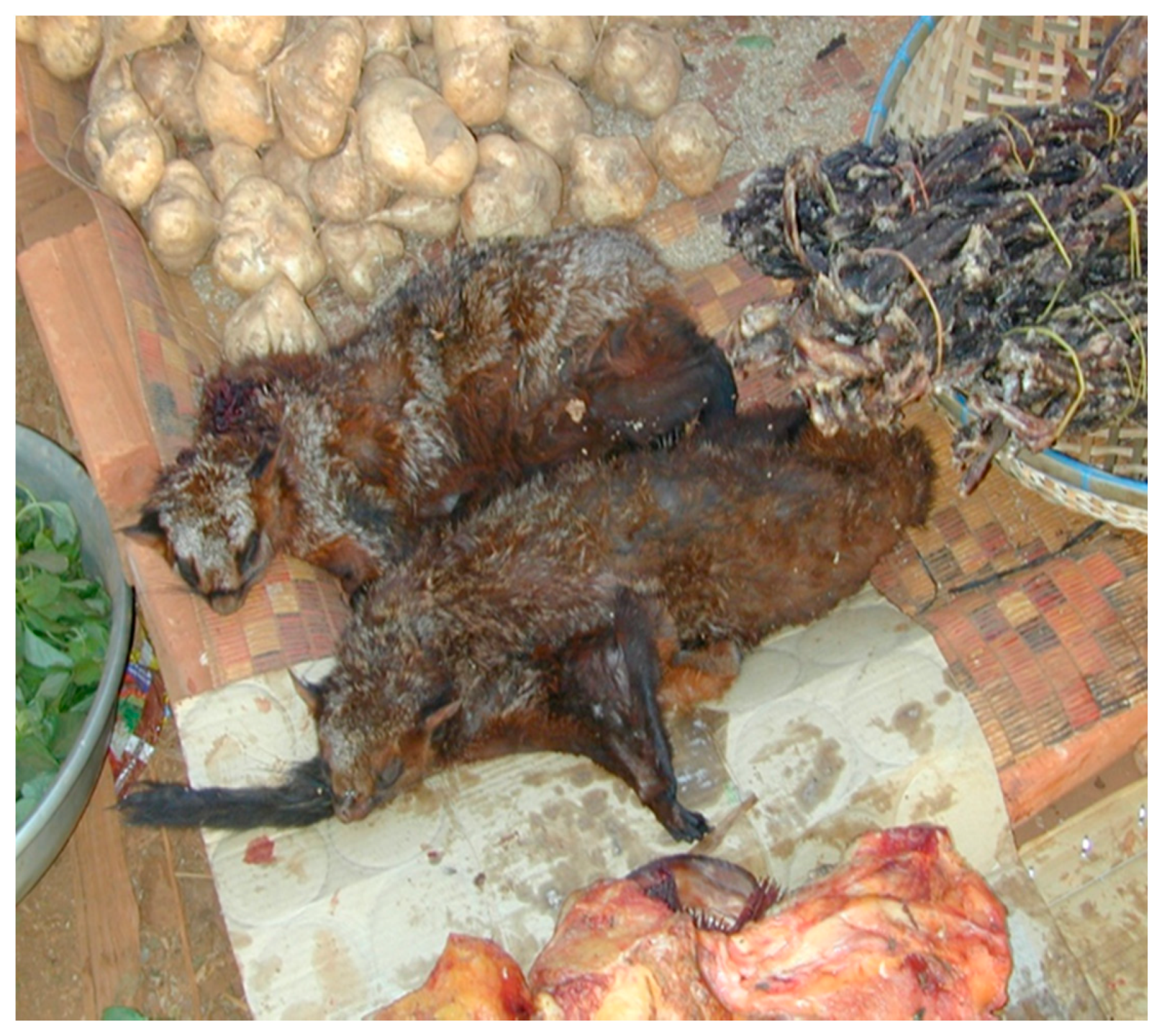 Ijerph 18 11446 g003 Ijerph 18 11446 g003