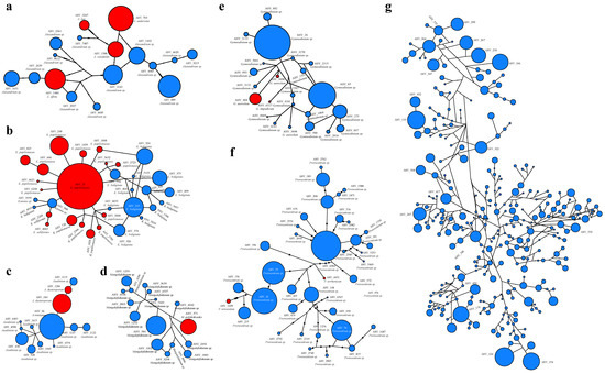 【ラッピング無料】 Metabarcoding Analysis of Harmful Algal Bloom Species in the リップケア