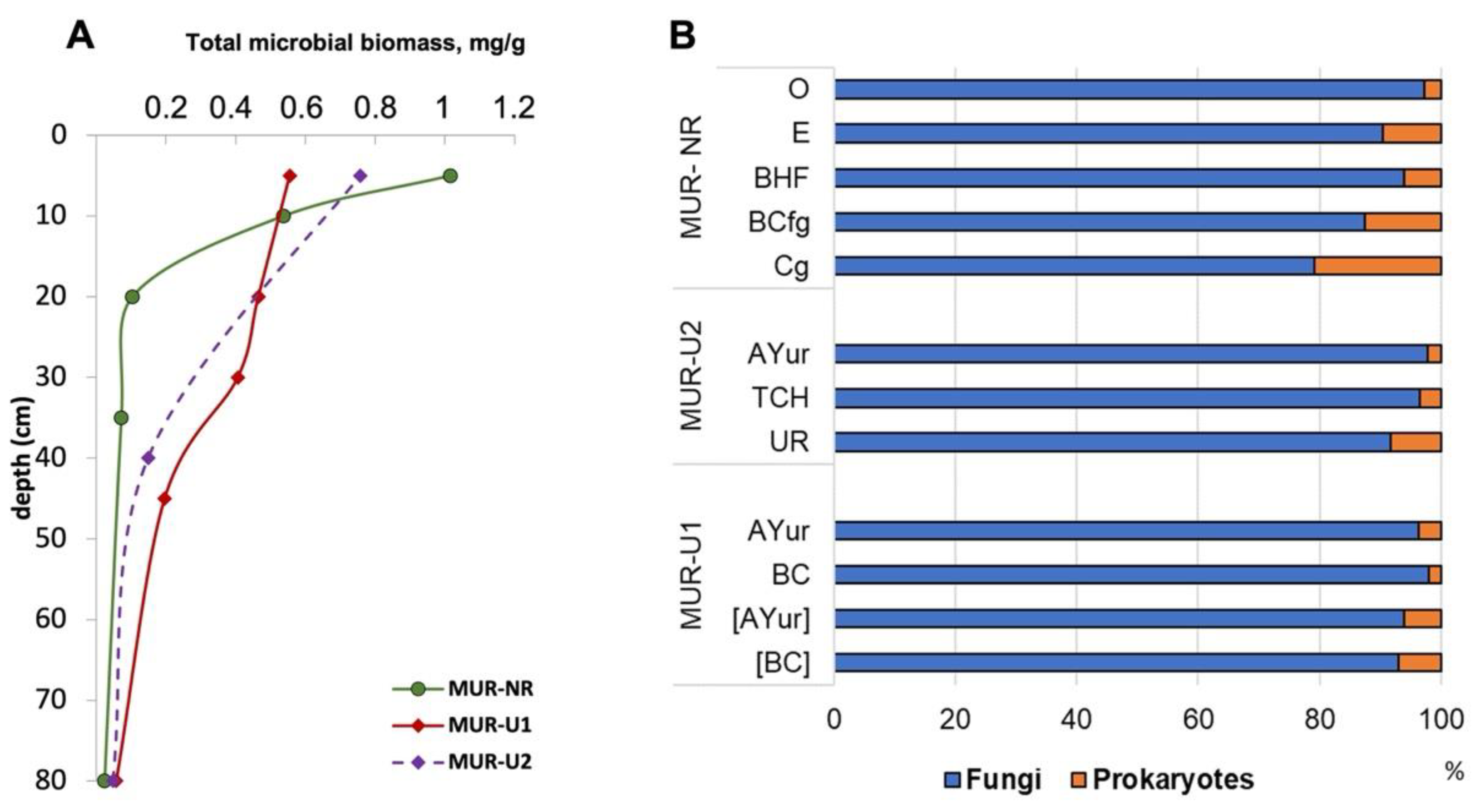 Ijerph 18 11665 g005
