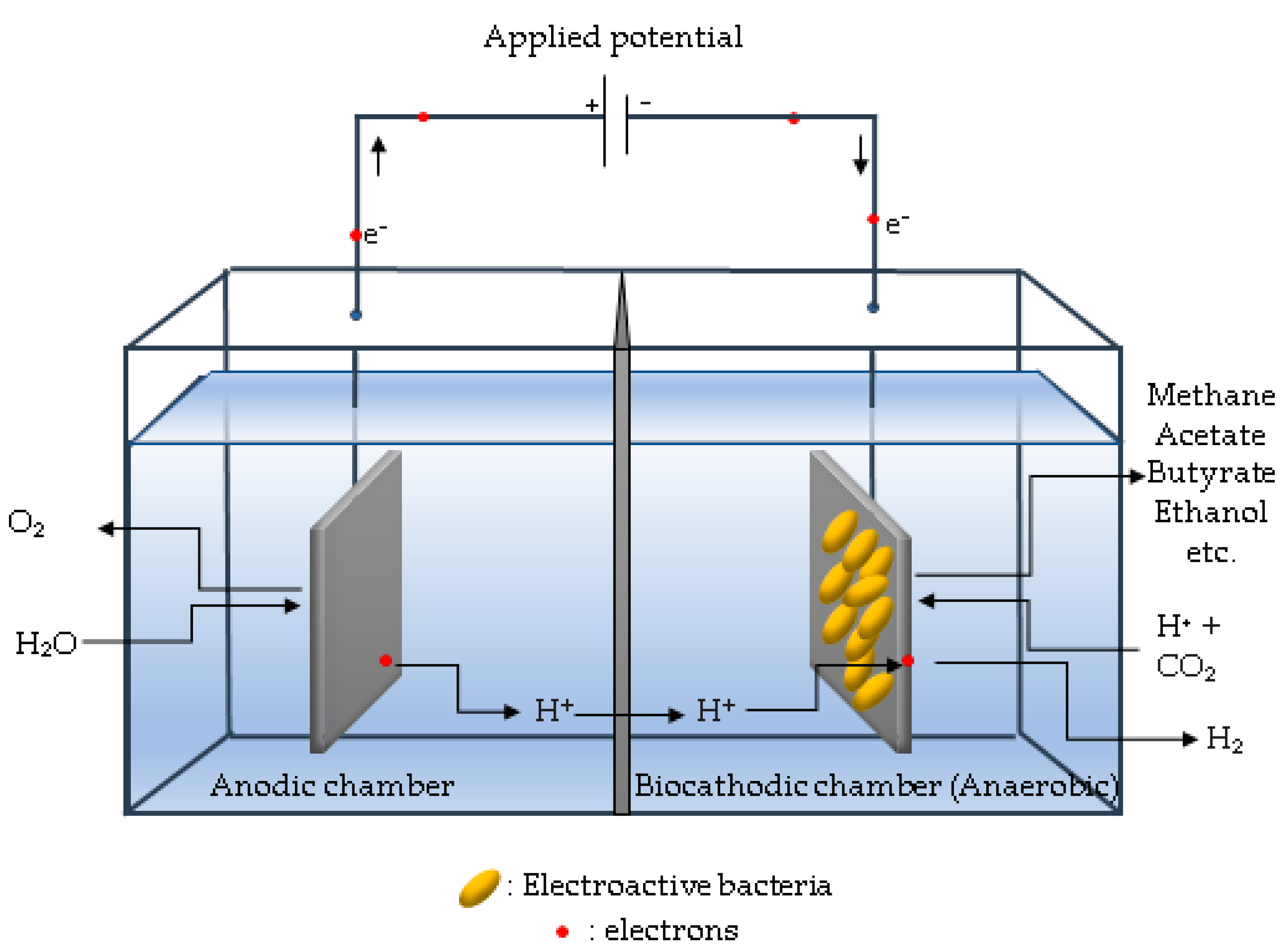 Ijerph 18 11683 g006