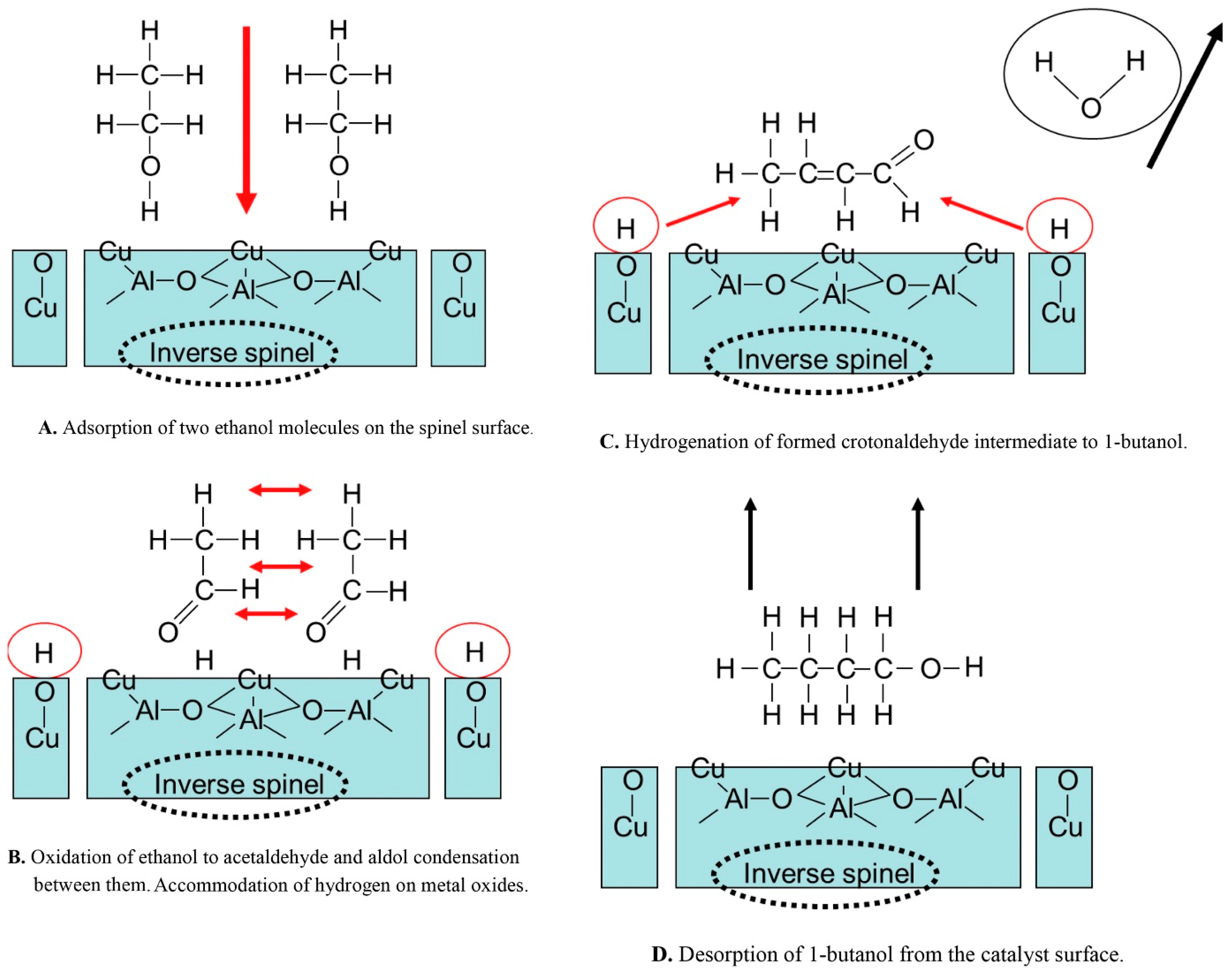 Ijerph 18 11749 g002