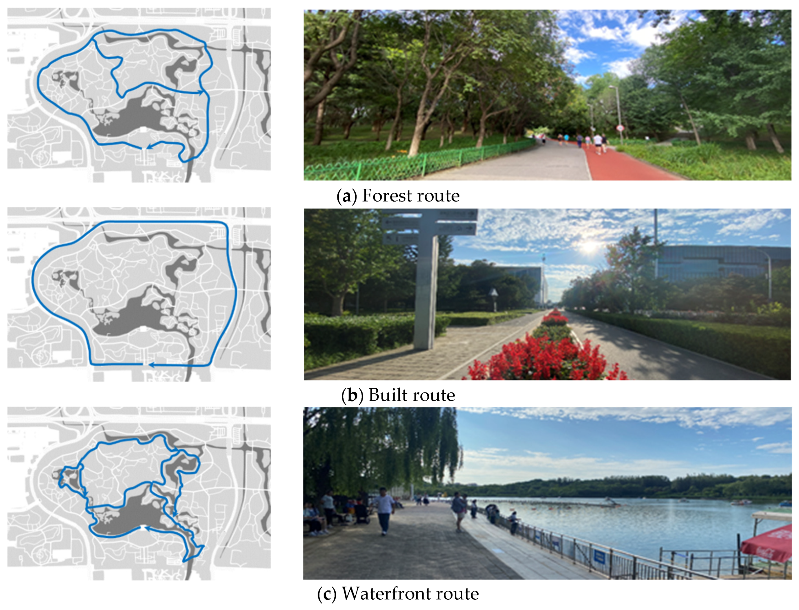 Ijerph 18 11756 g002a 550