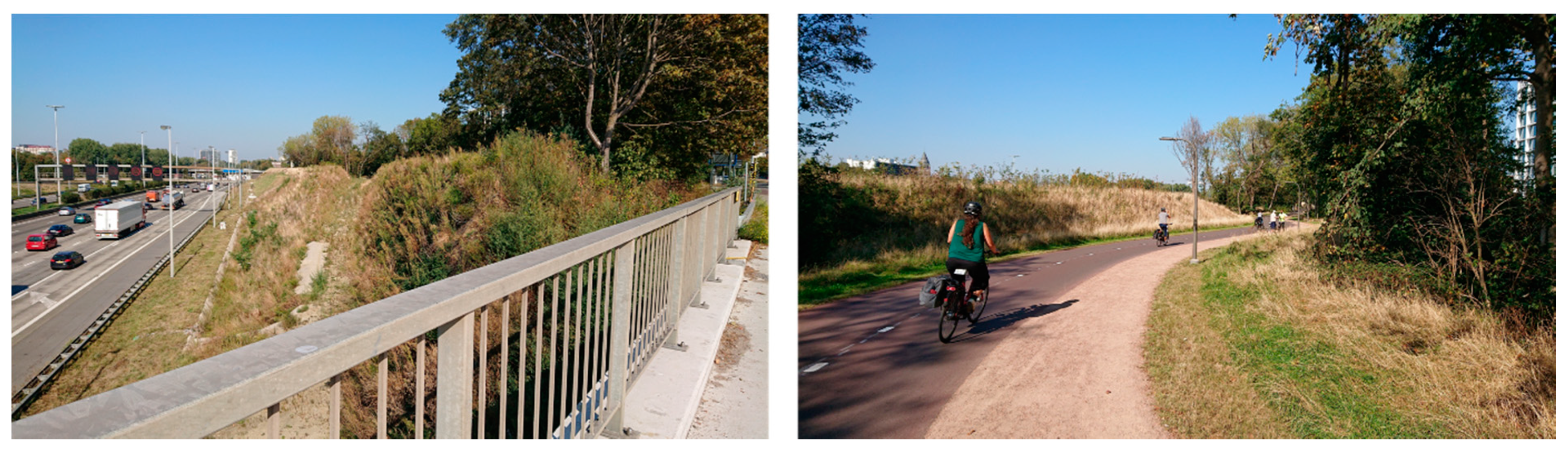 Ijerph 18 11774 g001 550