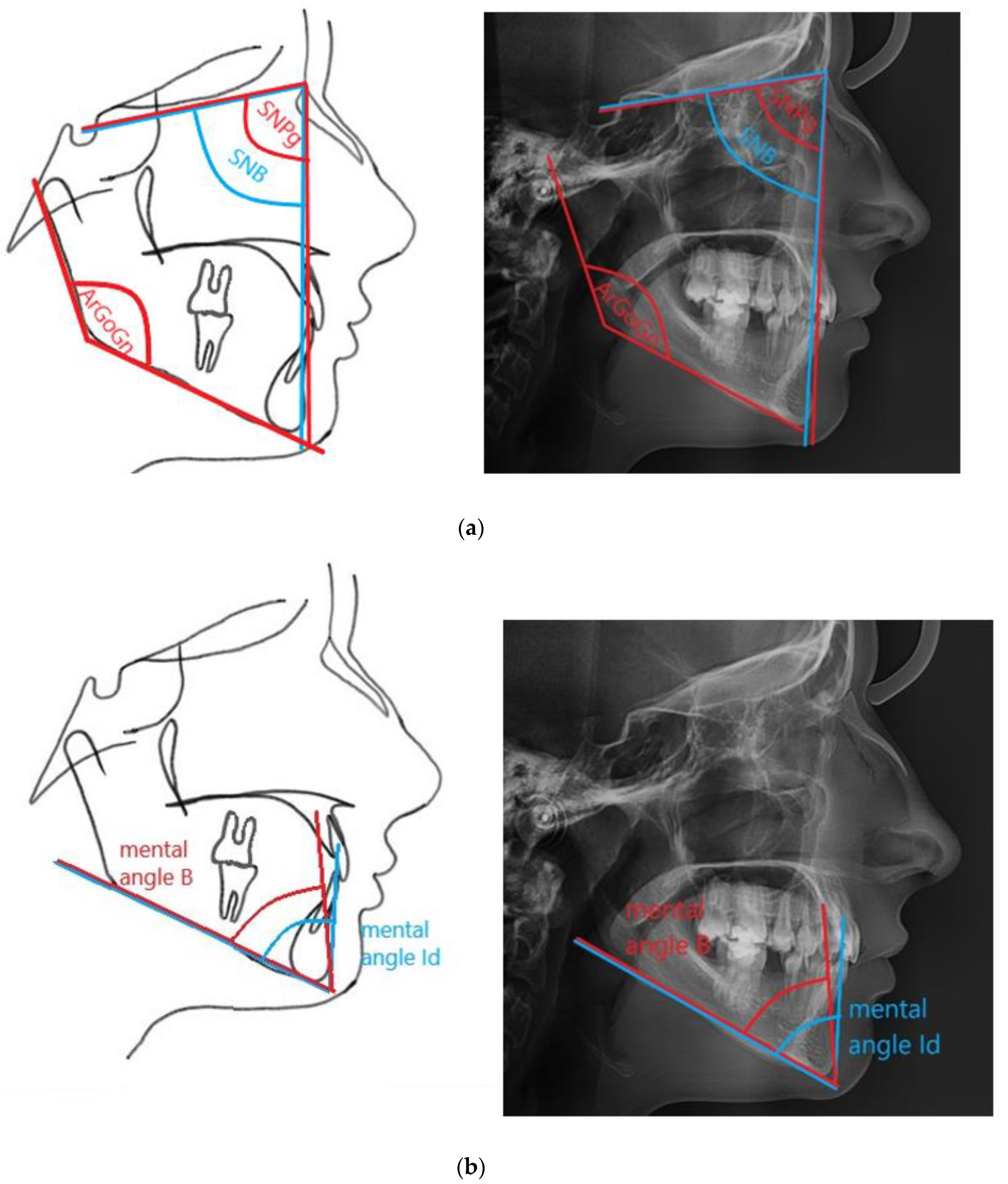 Ijerph 18 11876 g001 550