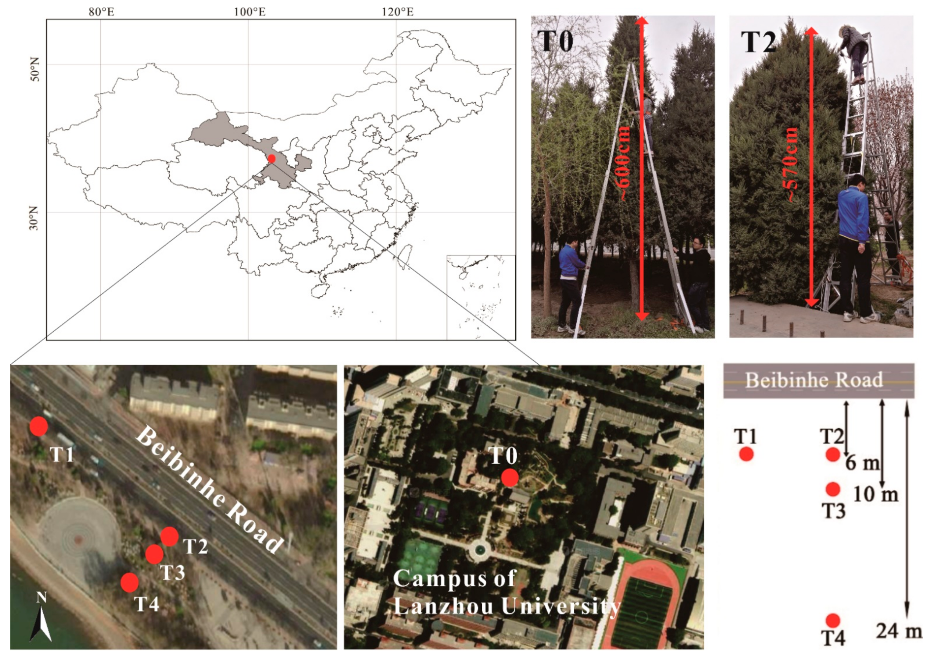 Ijerph 18 11964 g001