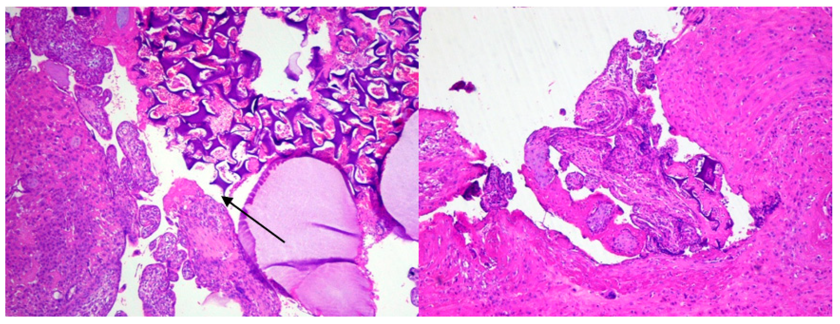 Ijerph 18 11998 g006