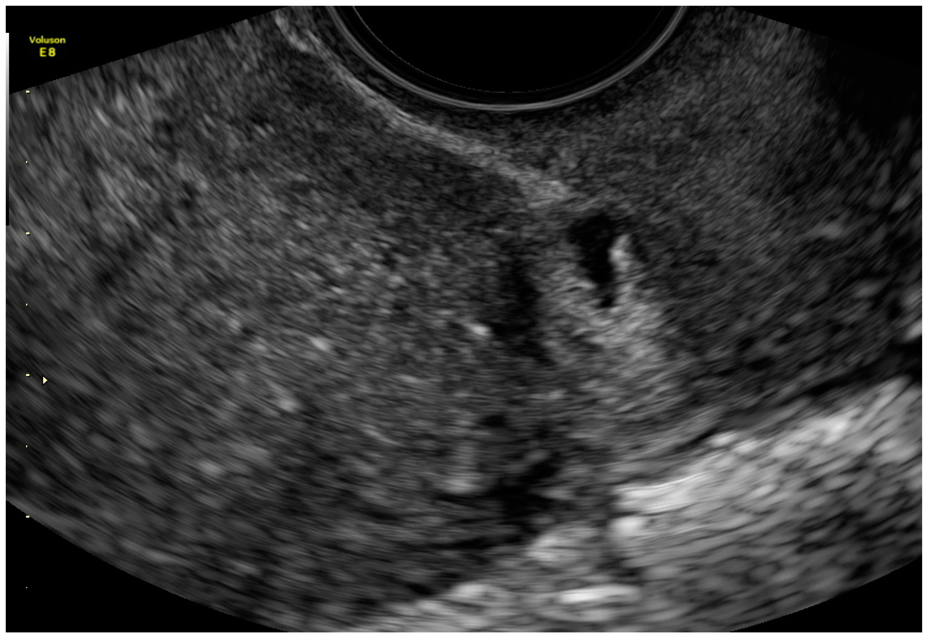 Ijerph 18 11998 g007