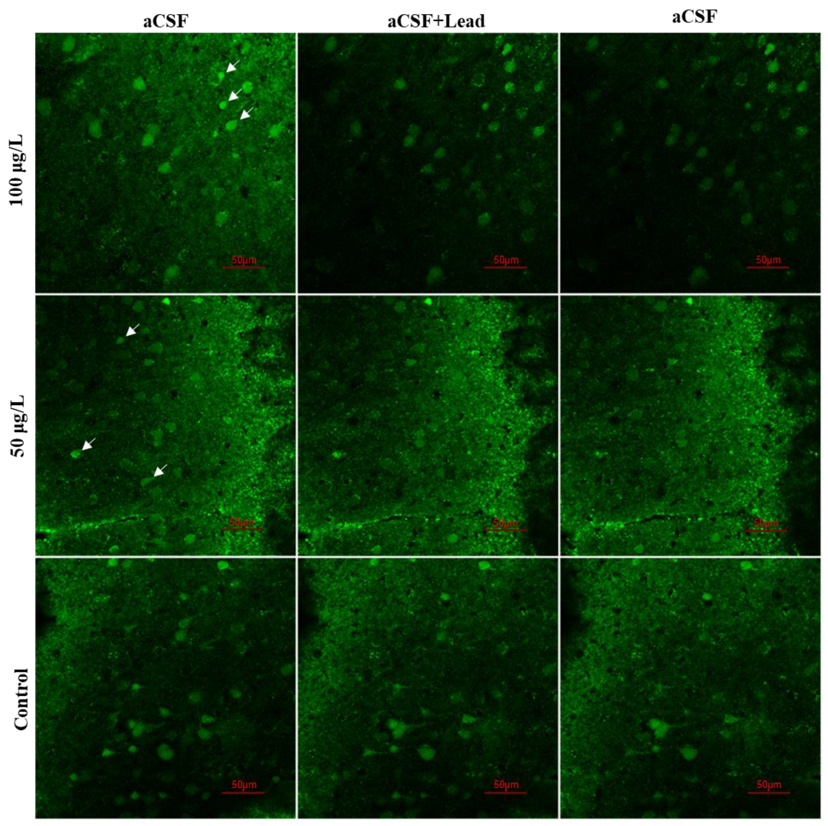 Ijerph 18 12051 g004 550
