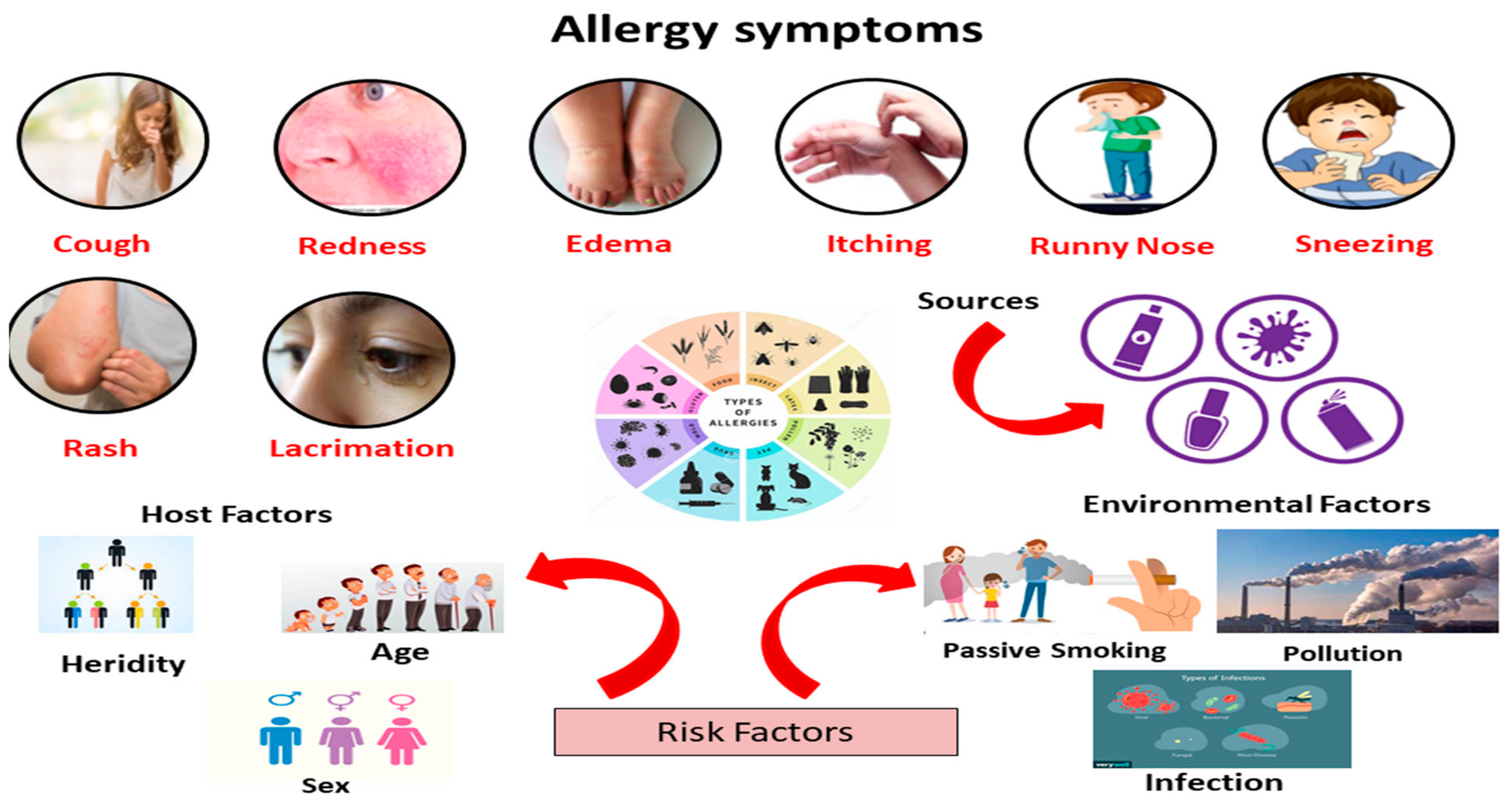 barrera diagonal caridad IJERPH | Free Full-Text | Allergic Diseases: A Comprehensive Review on Risk  Factors, Immunological Mechanisms, Link with COVID-19, Potential  Treatments, and Role of Allergen Bioinformatics