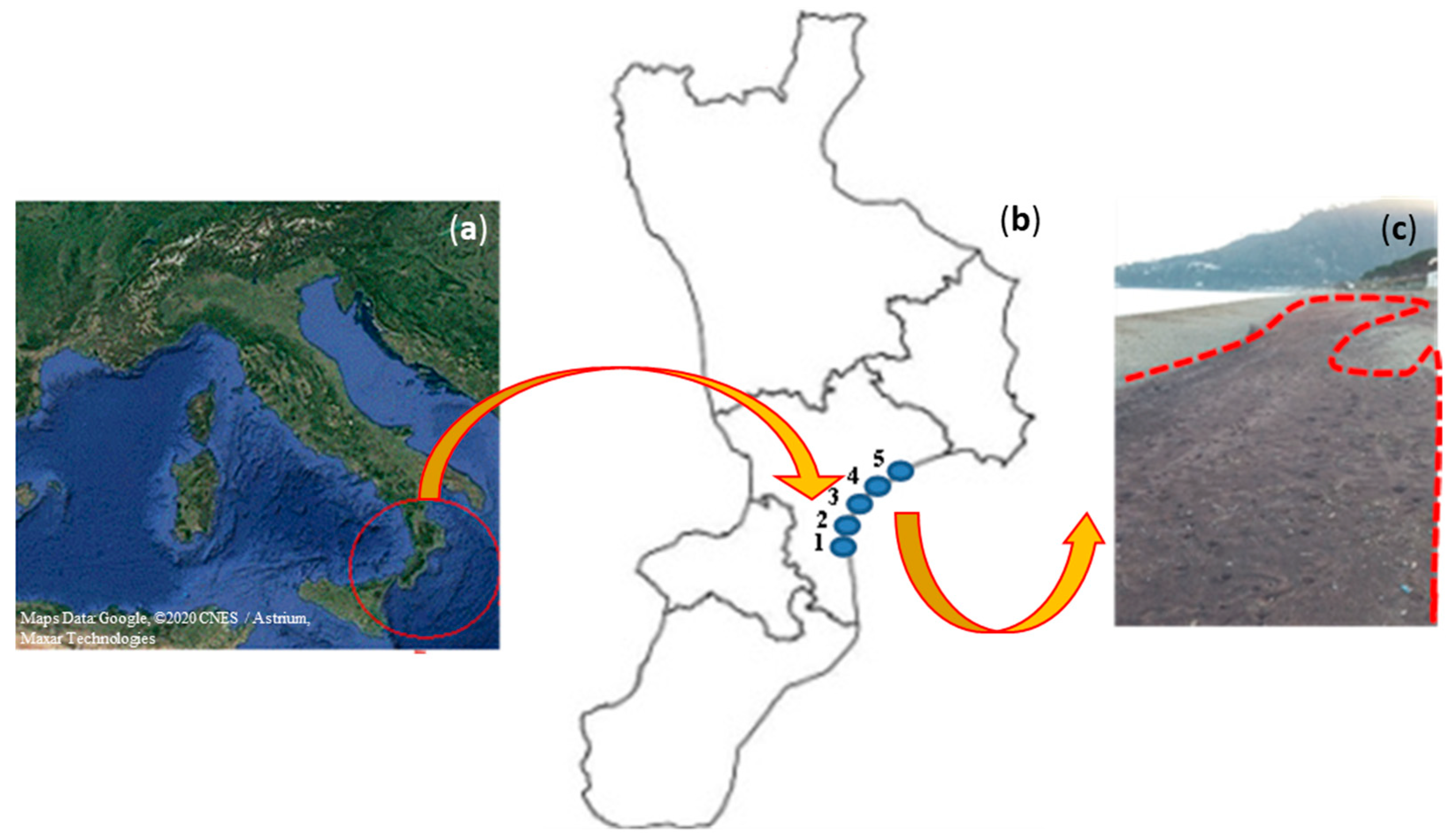 Ijerph 18 12147 g001