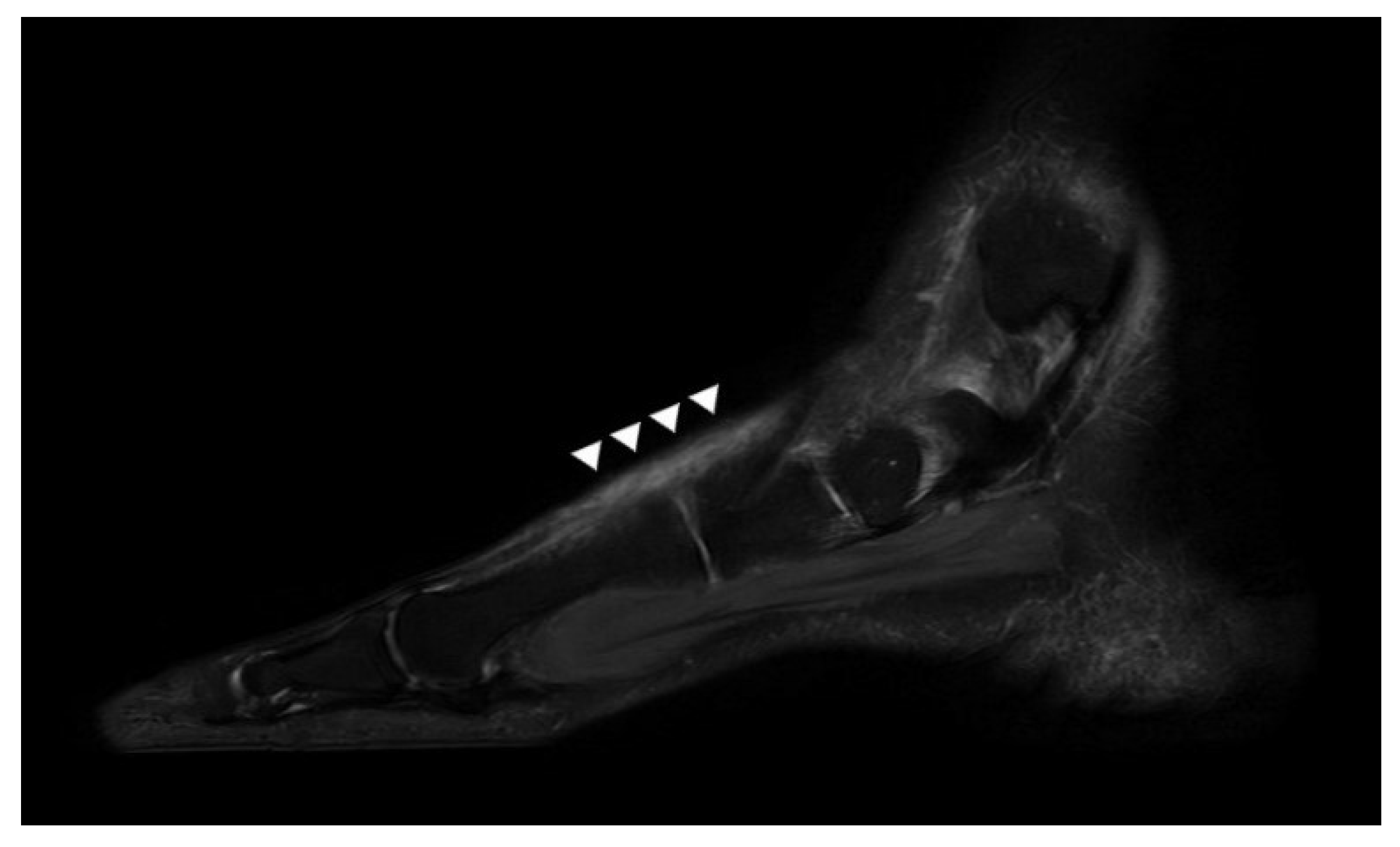 Ijerph 18 12157 g002 550