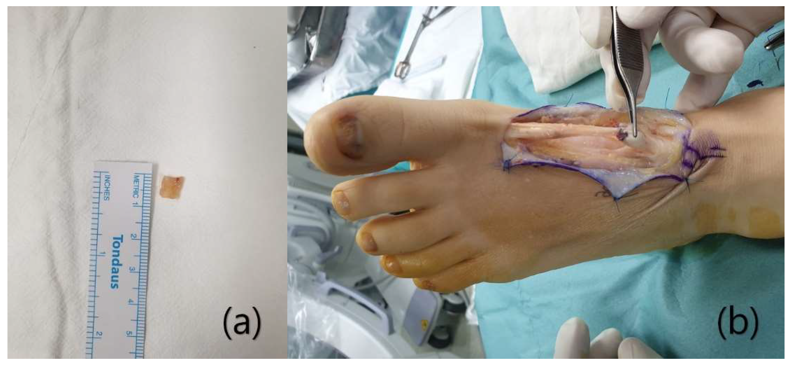 Ijerph 18 12157 g004 550