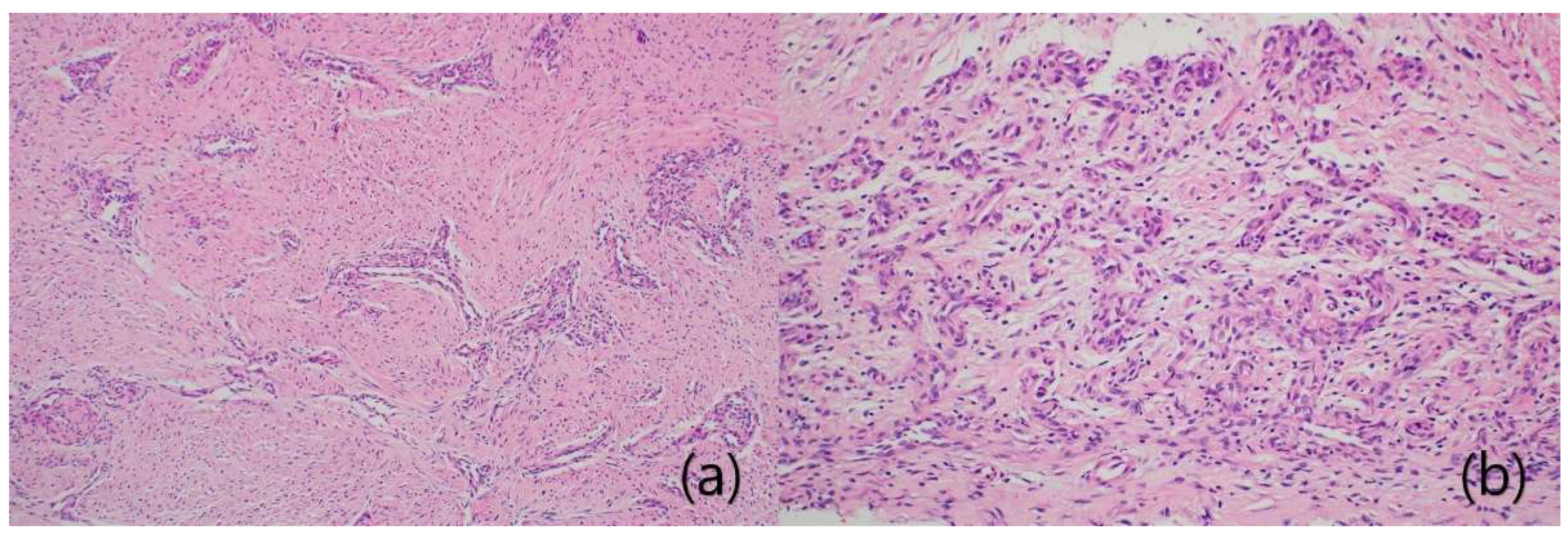 Ijerph 18 12157 g006 550