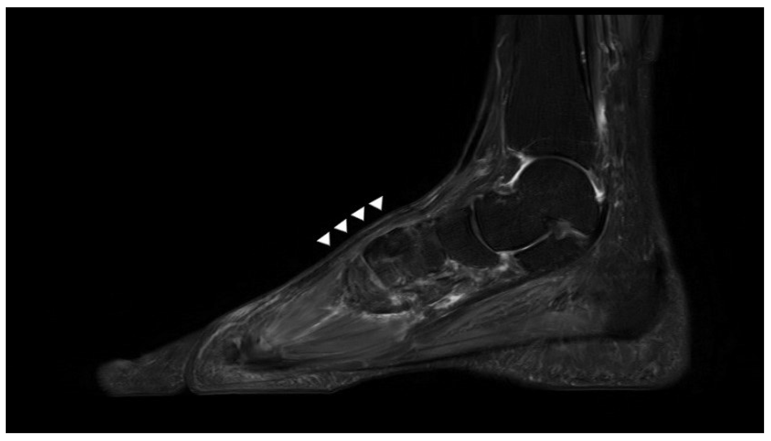 Ijerph 18 12157 g008 550