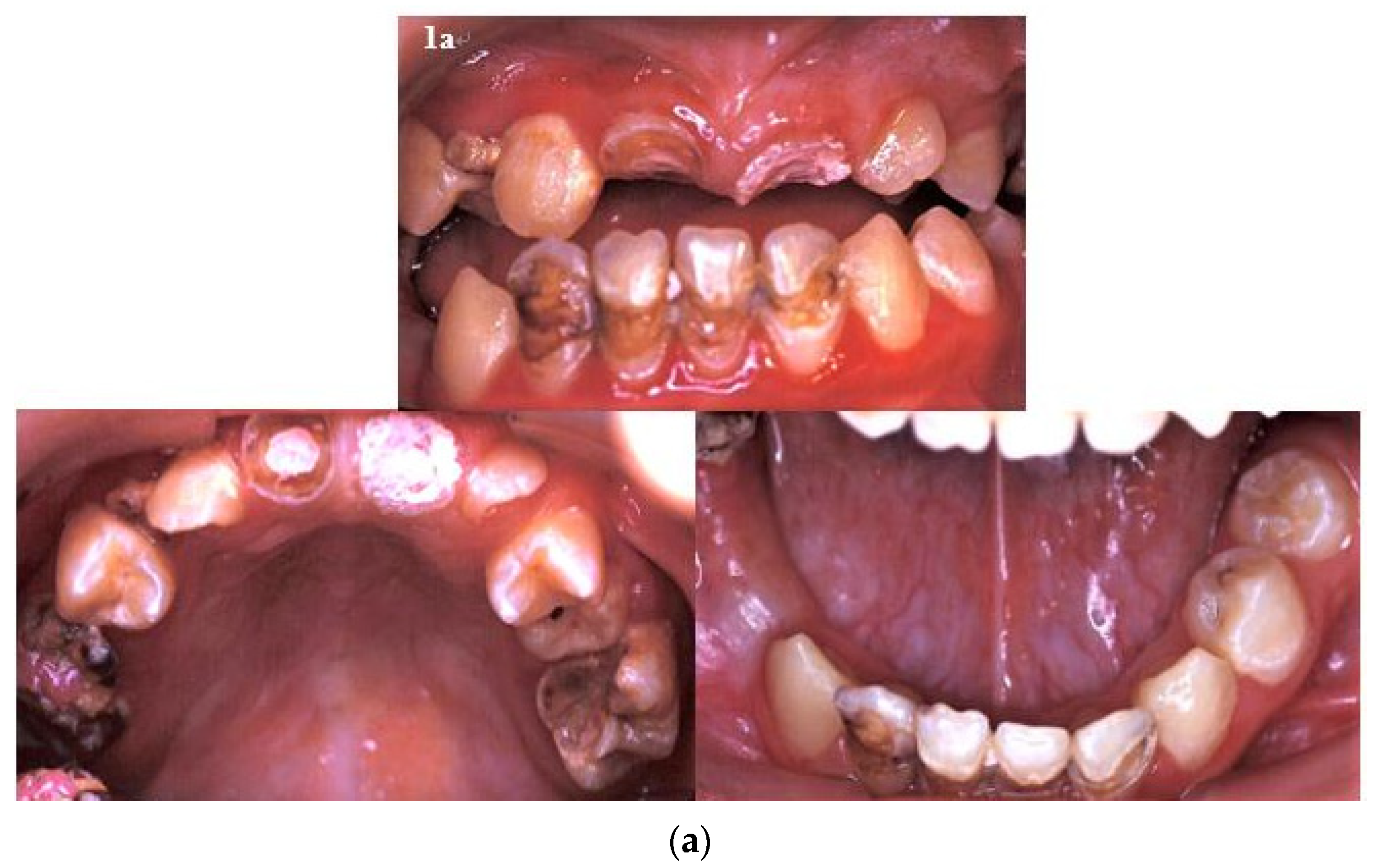 Ijerph 18 12158 g001a