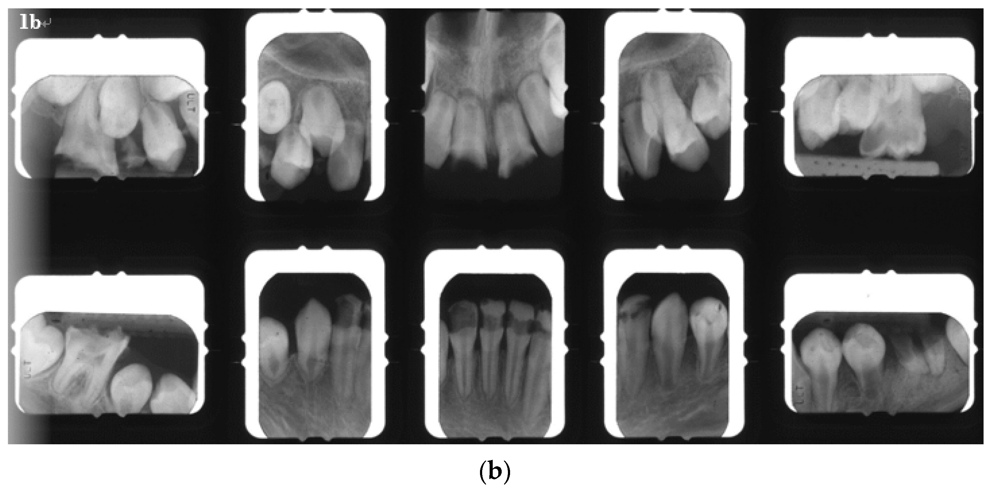 Ijerph 18 12158 g001b