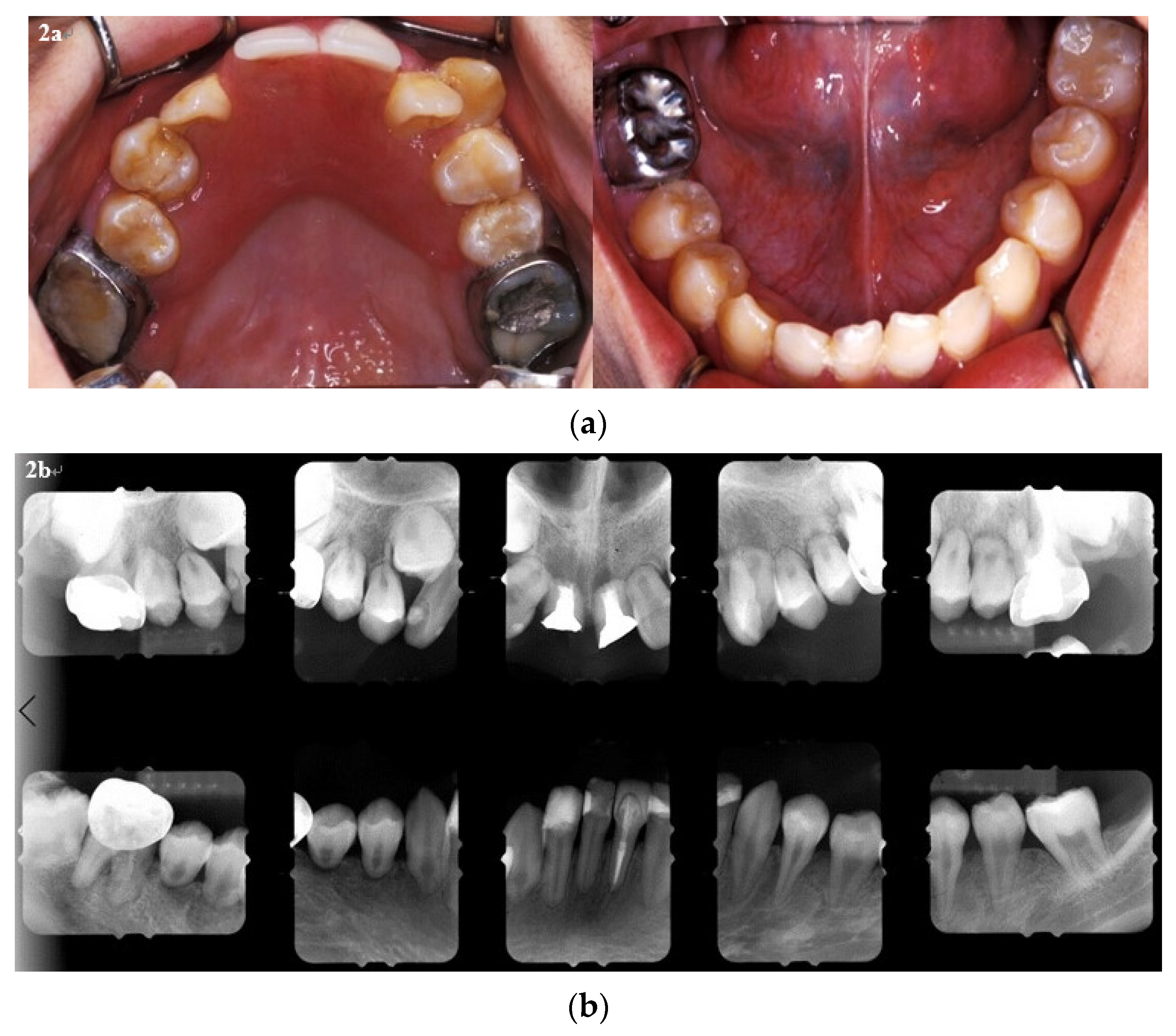 Ijerph 18 12158 g002