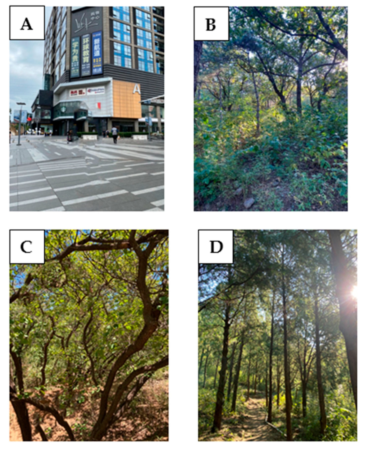 Ijerph 18 12224 g002 550