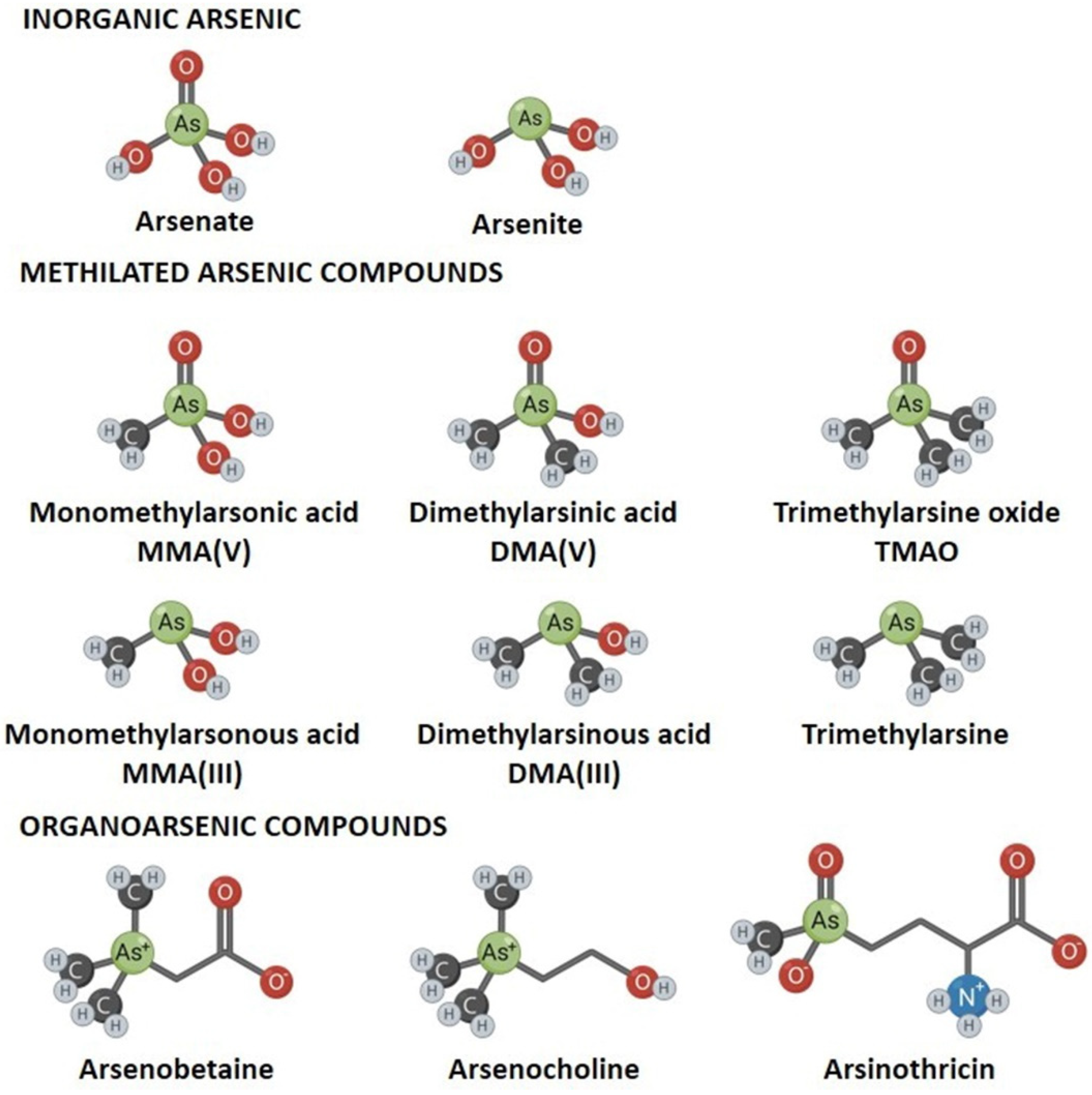 Ijerph 18 12226 g001