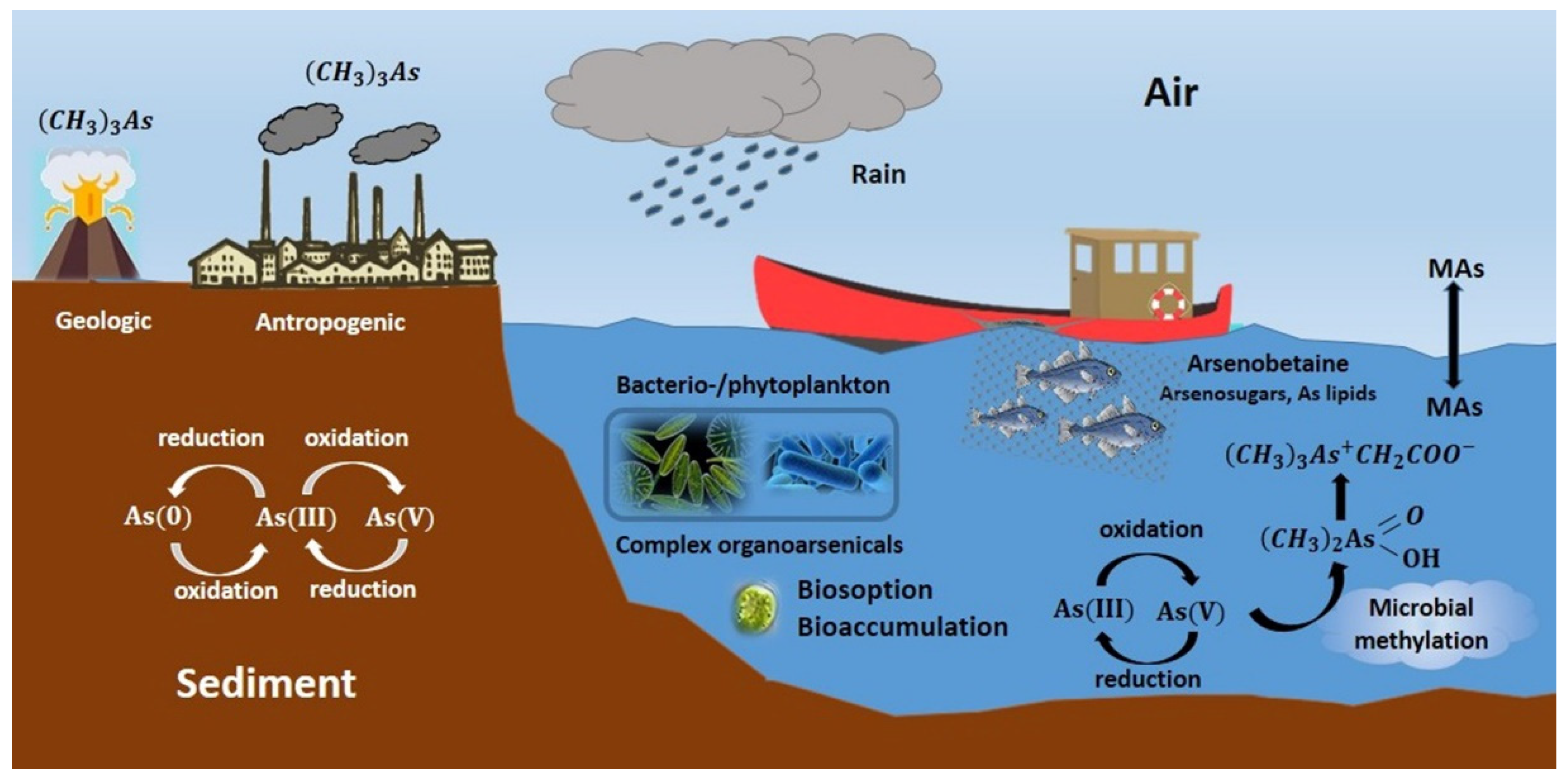 Ijerph 18 12226 g003