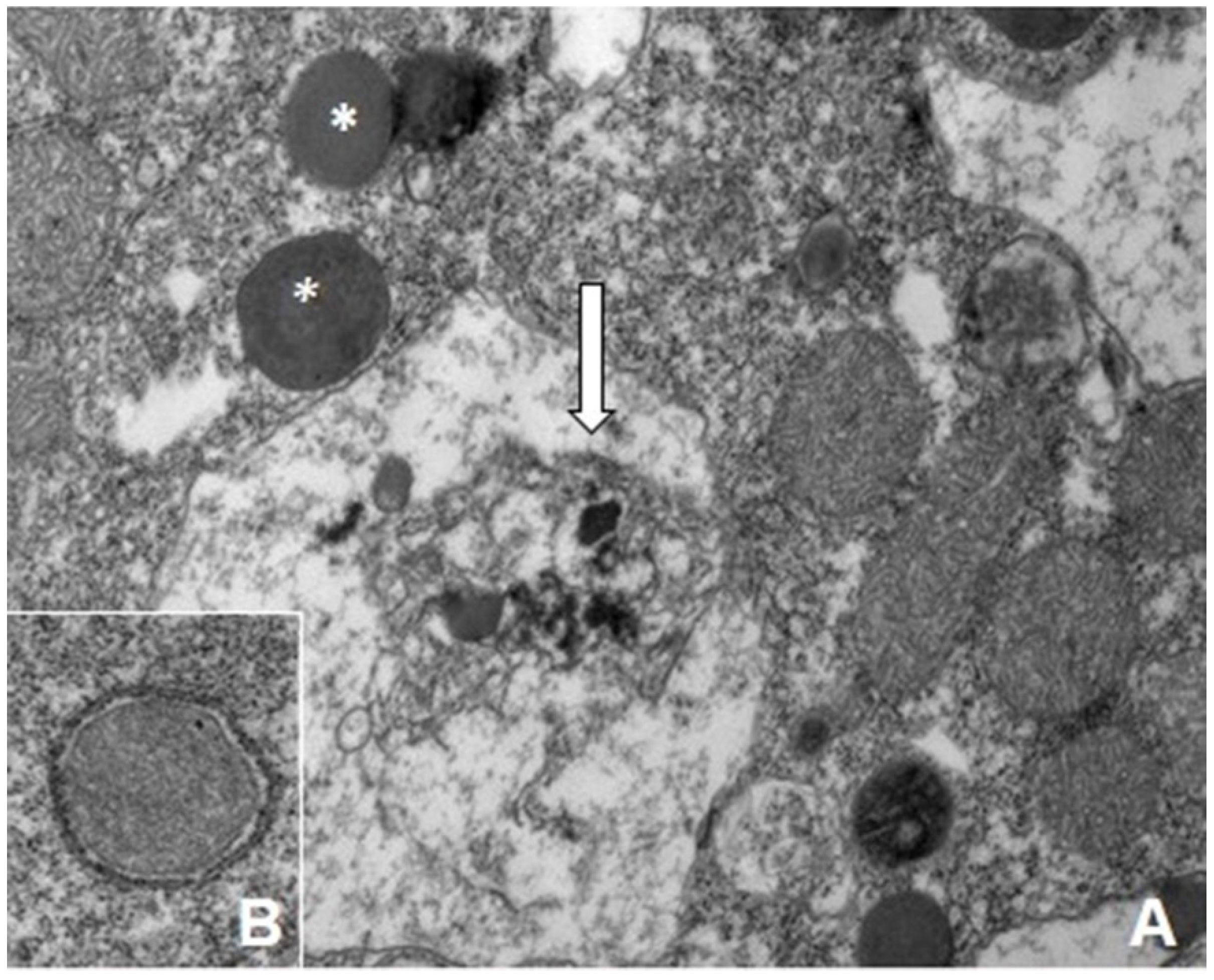 Ijerph 18 12226 g005